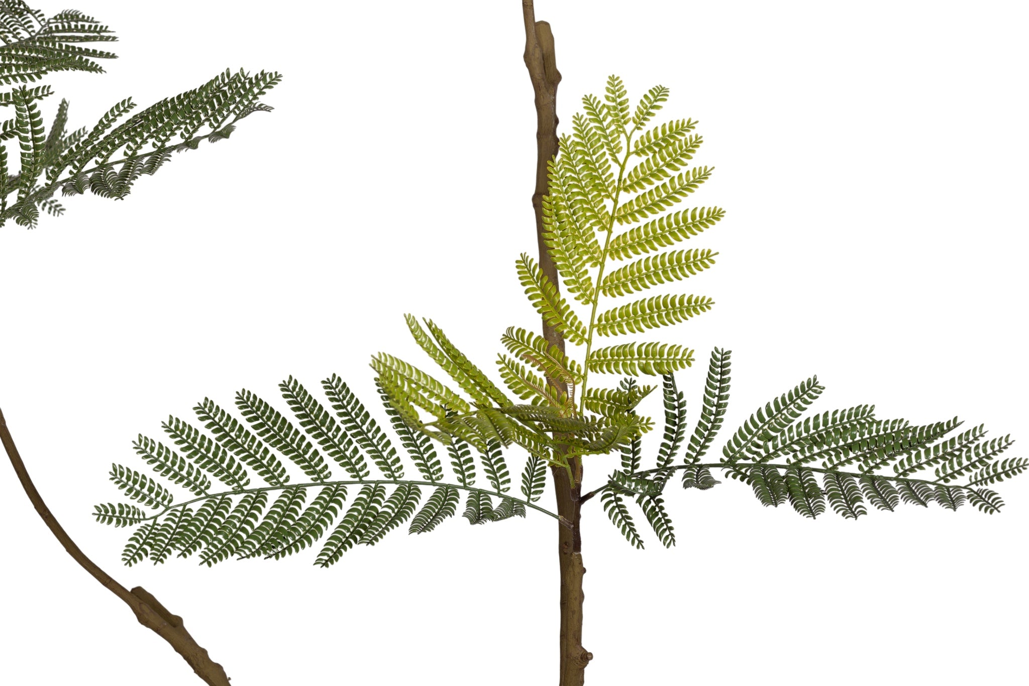 7.5' Jacaranda FP1439