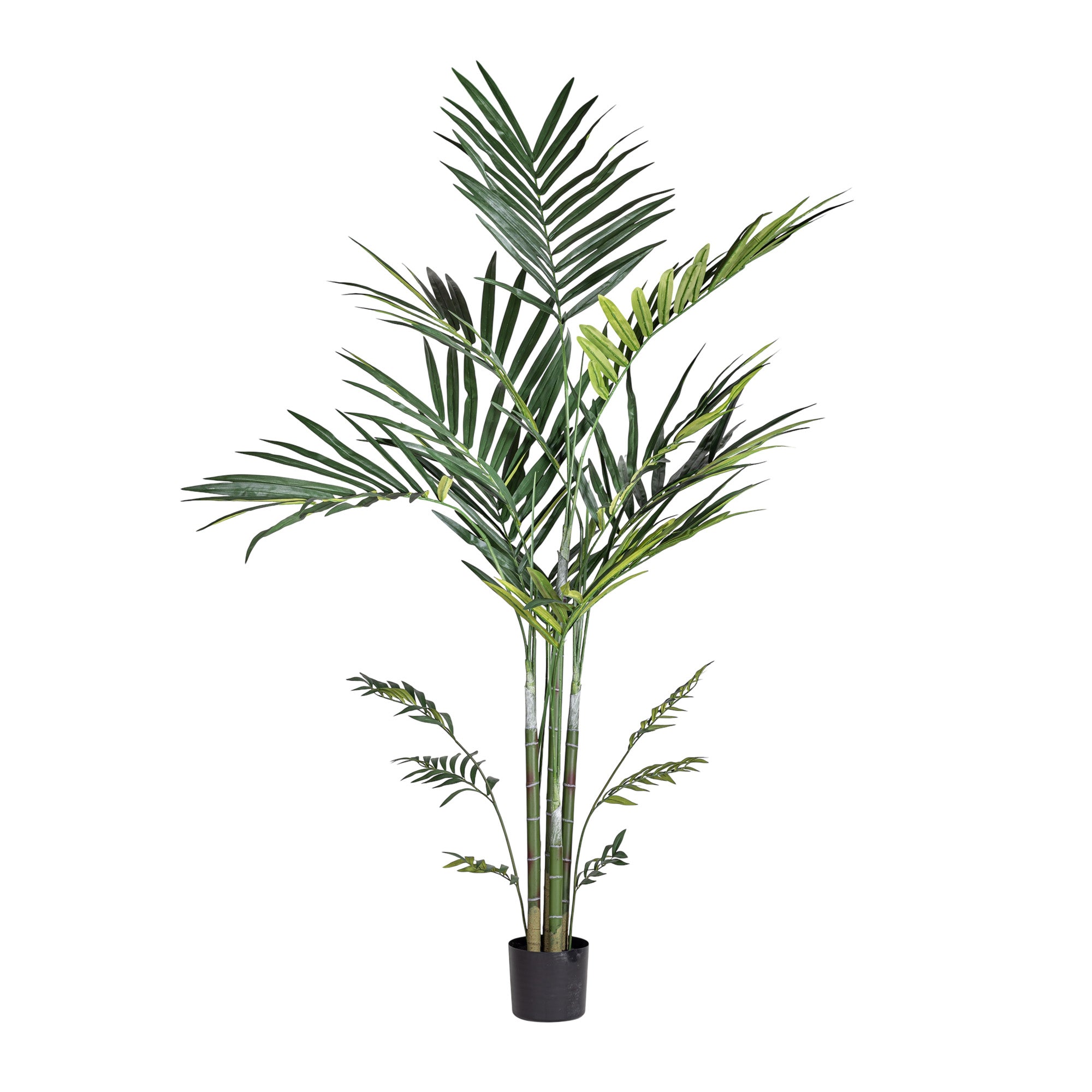 7' Kentia Palm - UV Treated FP1458UV