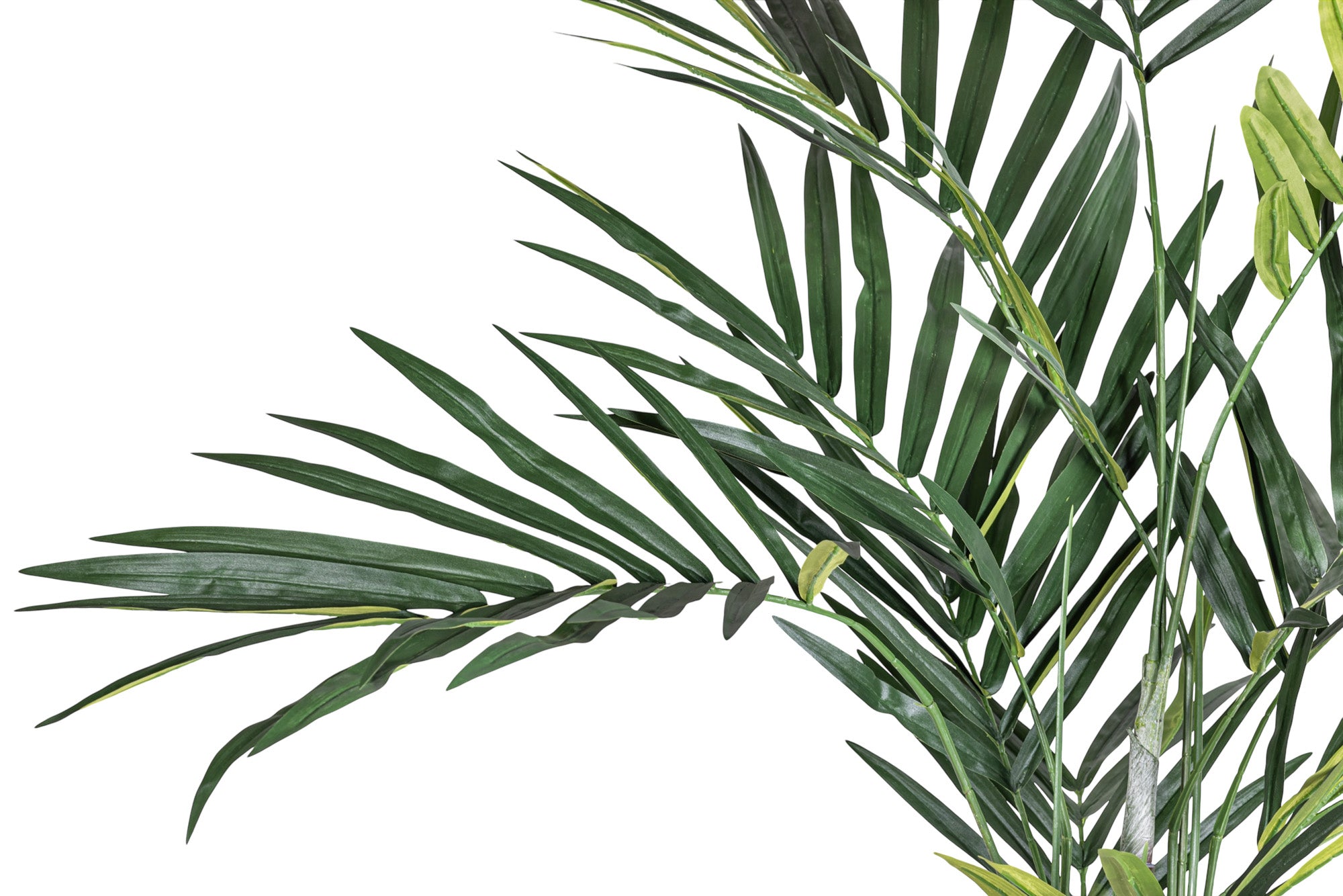 7' Kentia Palm - UV Treated FP1458UV