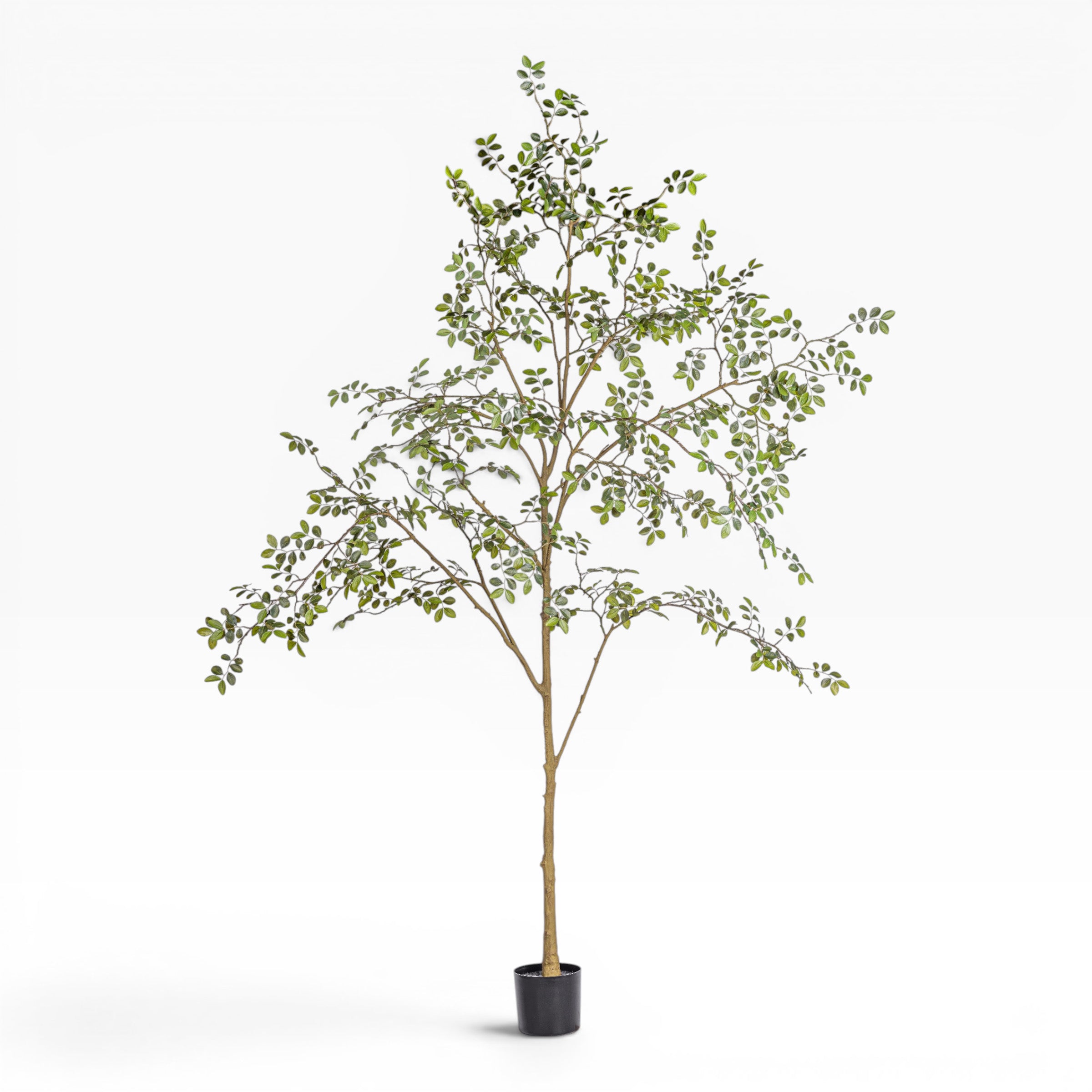 8' Rose Tree FP1473