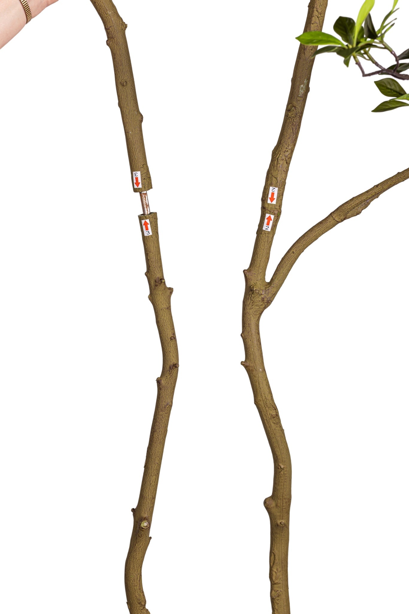 8.5' Gardenia Tree FP1475
