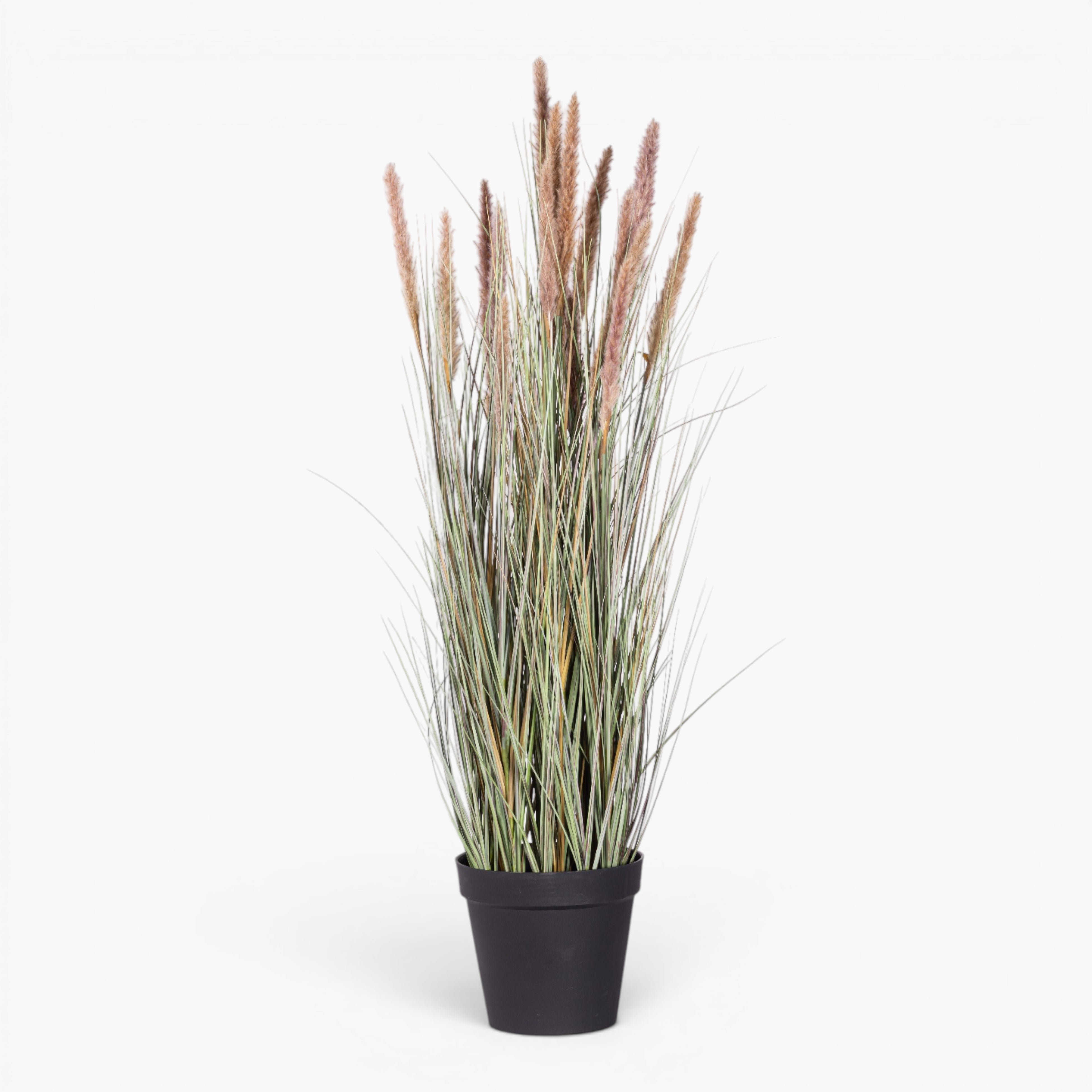 54" Natural Foxtail Grass Plant - UV Treated FP1480