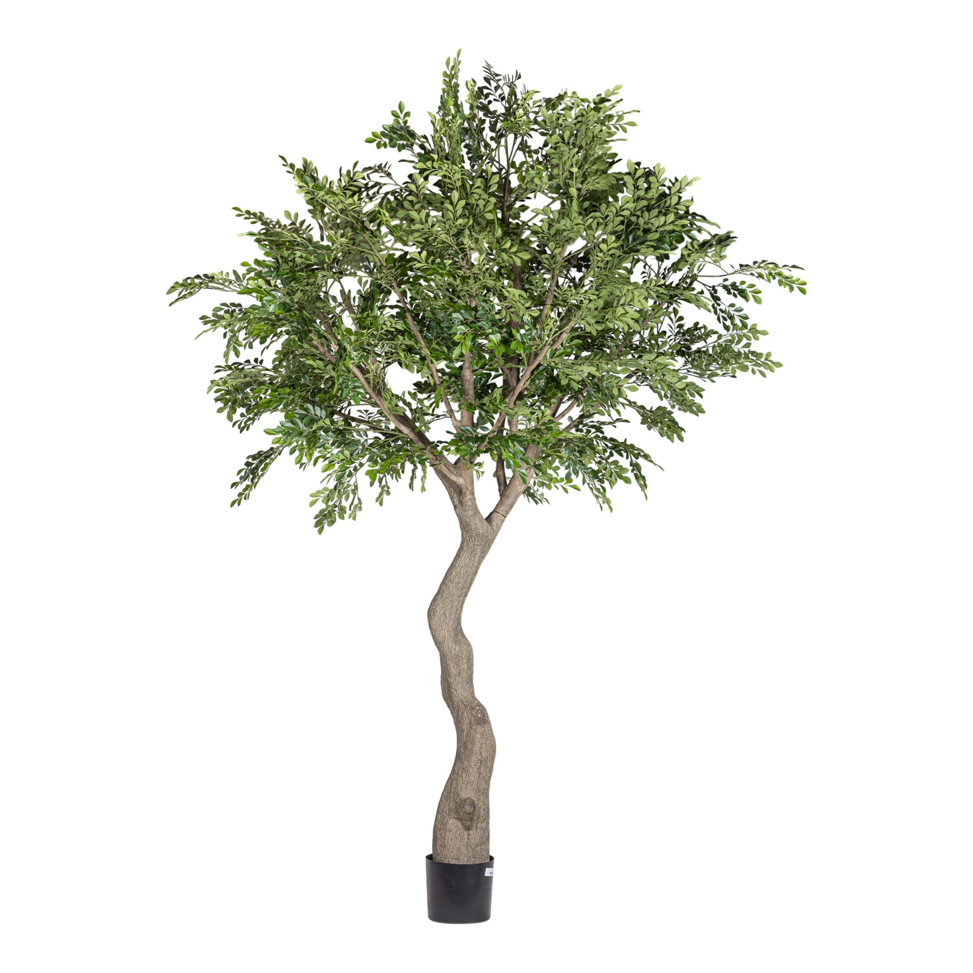 NEW 9' Murraye Tree- UV Protected   FP1505