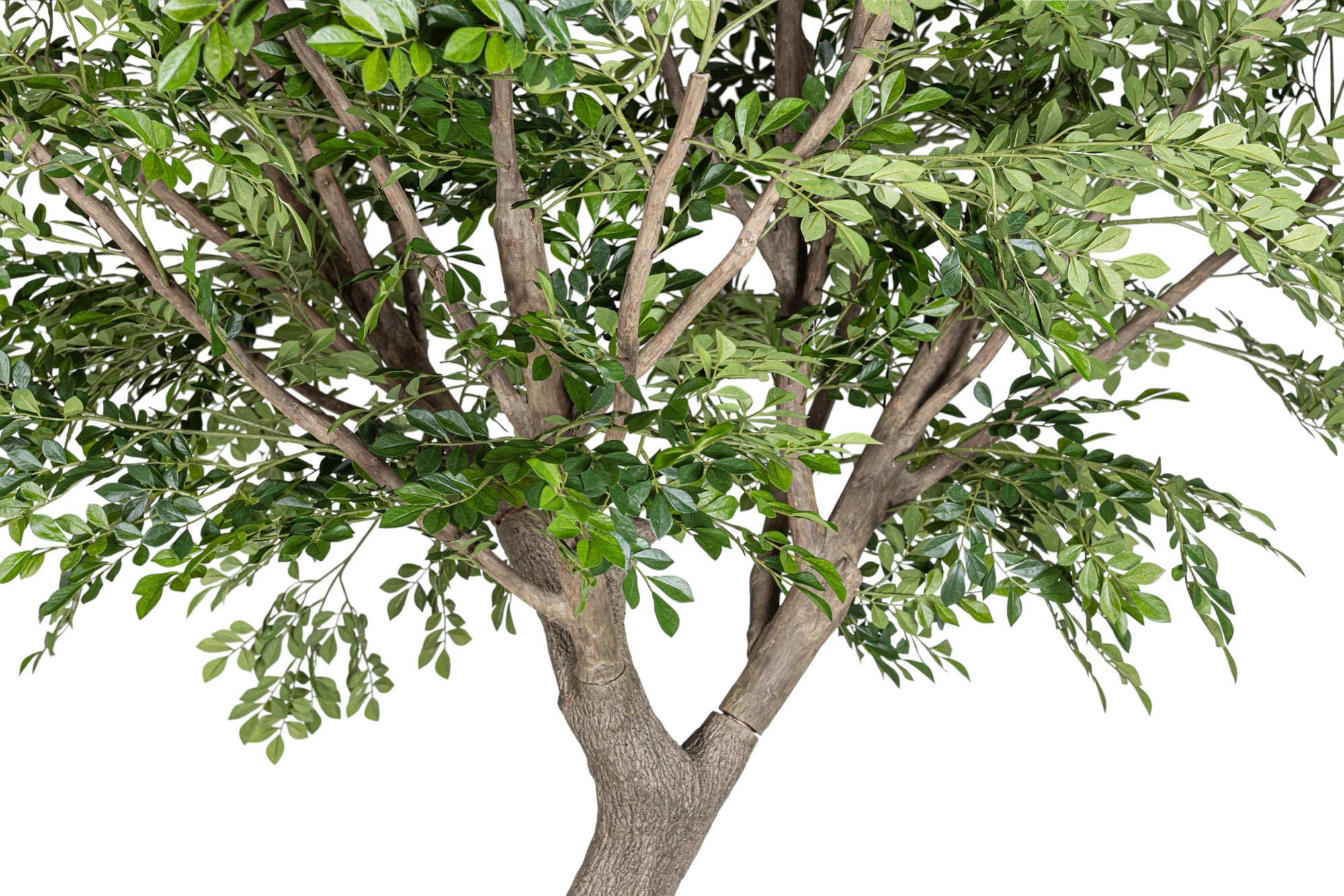 NEW 9' Murraye Tree- UV Protected   FP1505