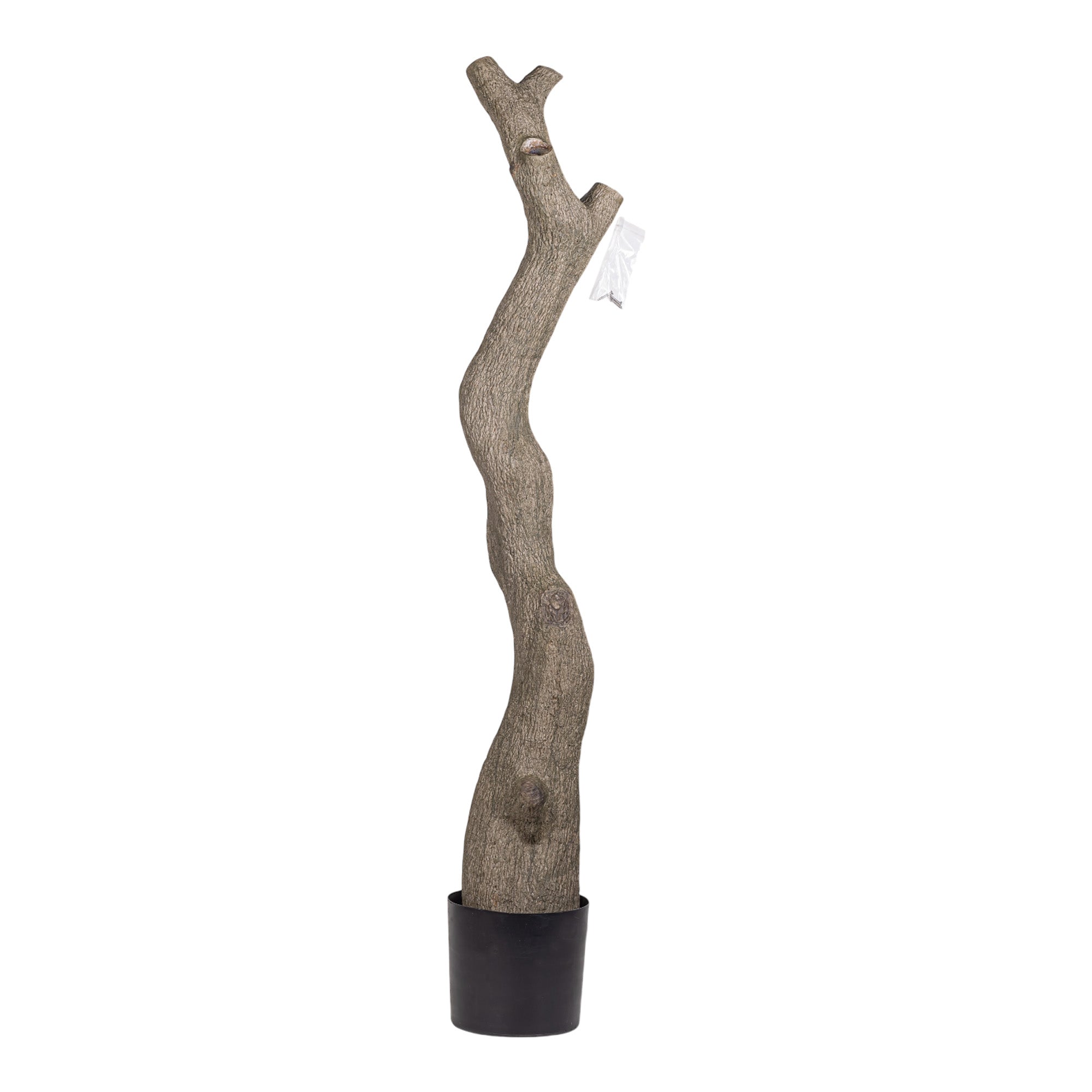 NEW 9' Murraye Tree- UV Protected   FP1505