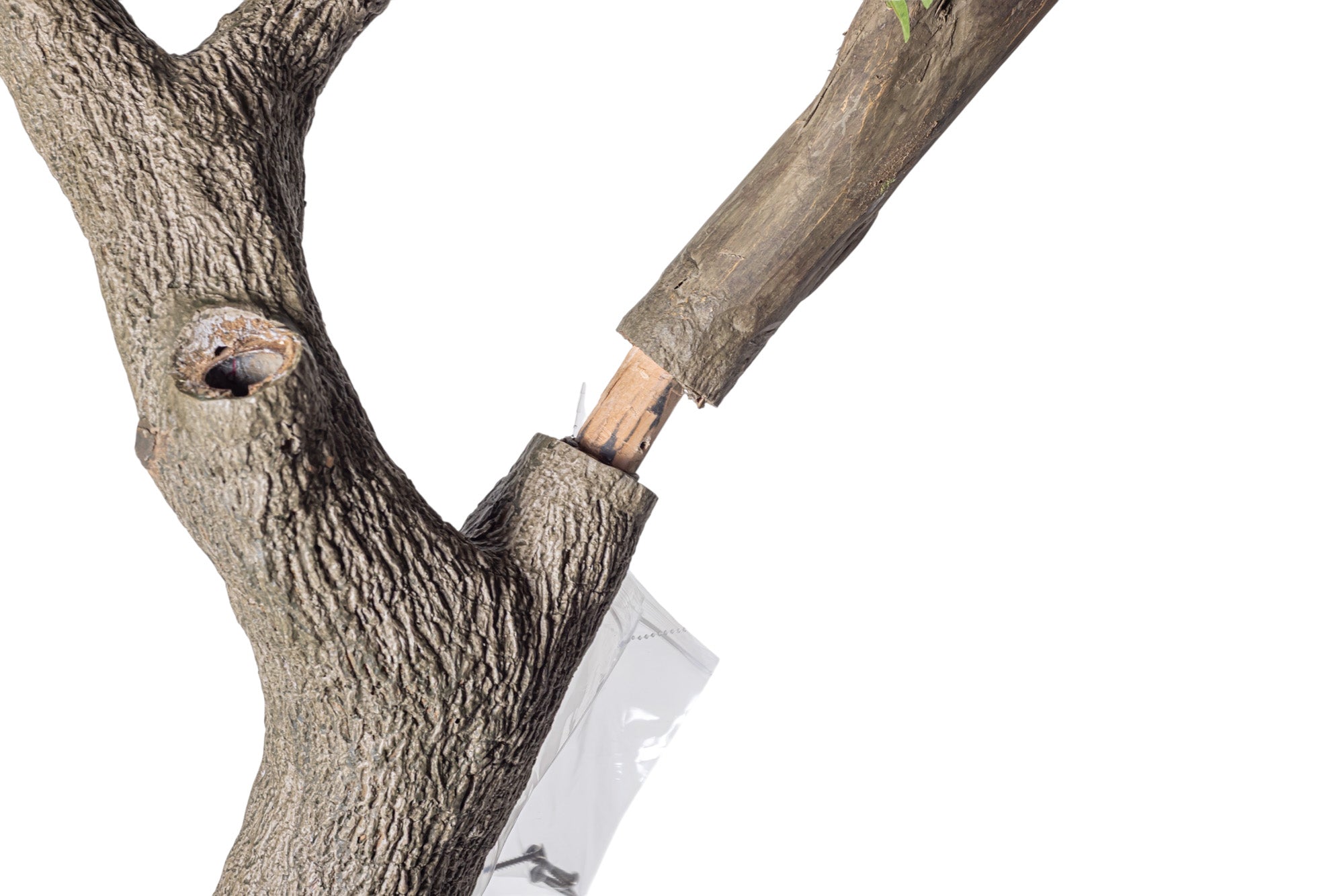 NEW 9' Murraye Tree- UV Protected   FP1505