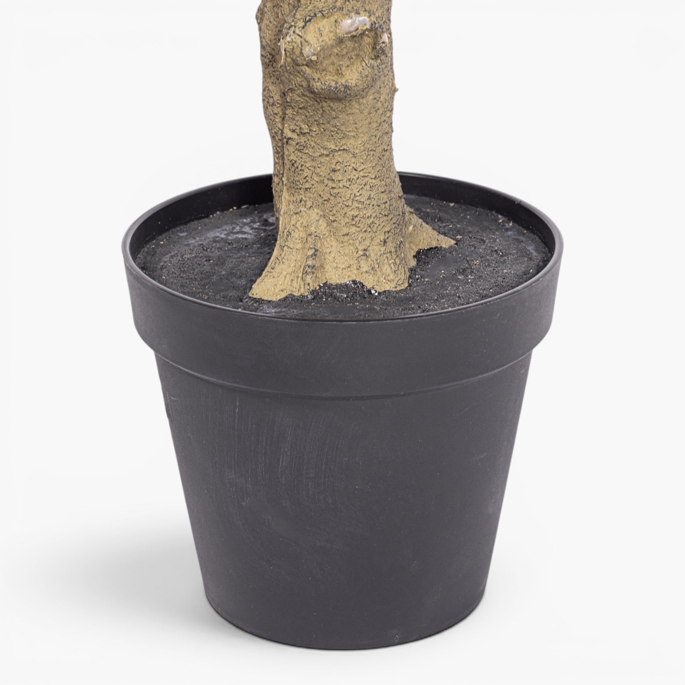 8' Olive Tree FP1515