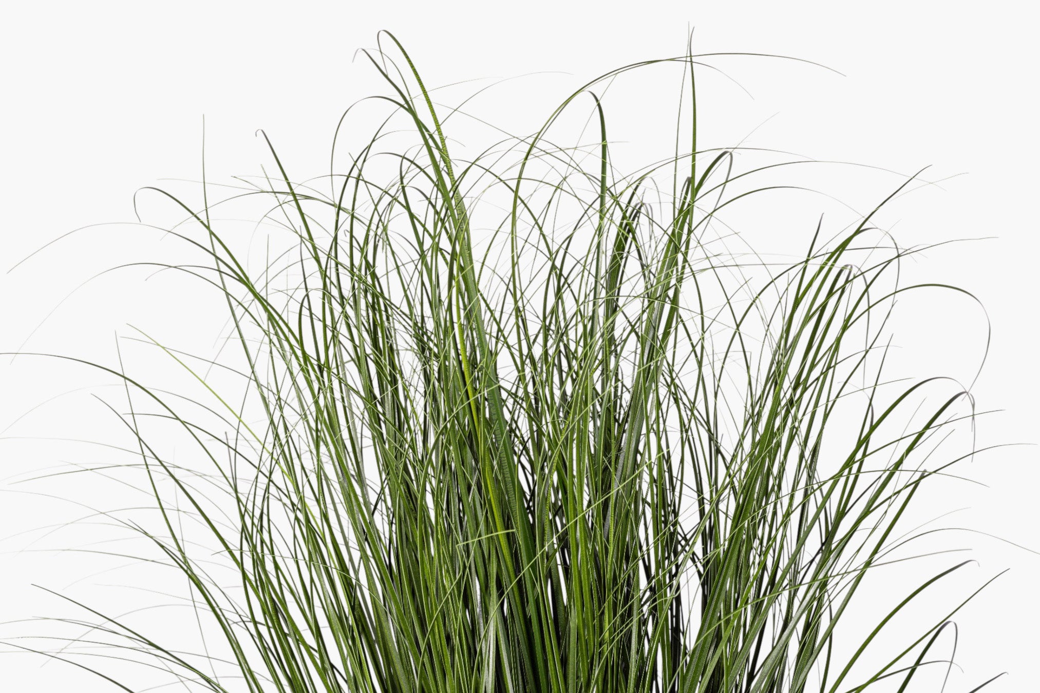 42.5" Potted Grass - UV Treated FP1516UV