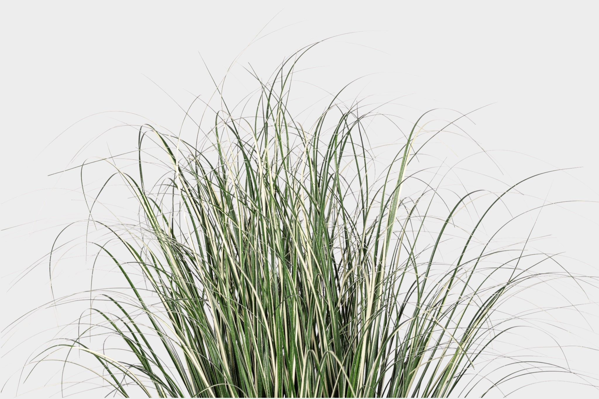 42.5" Potted Grass - Variegated - UV Treated FP1517