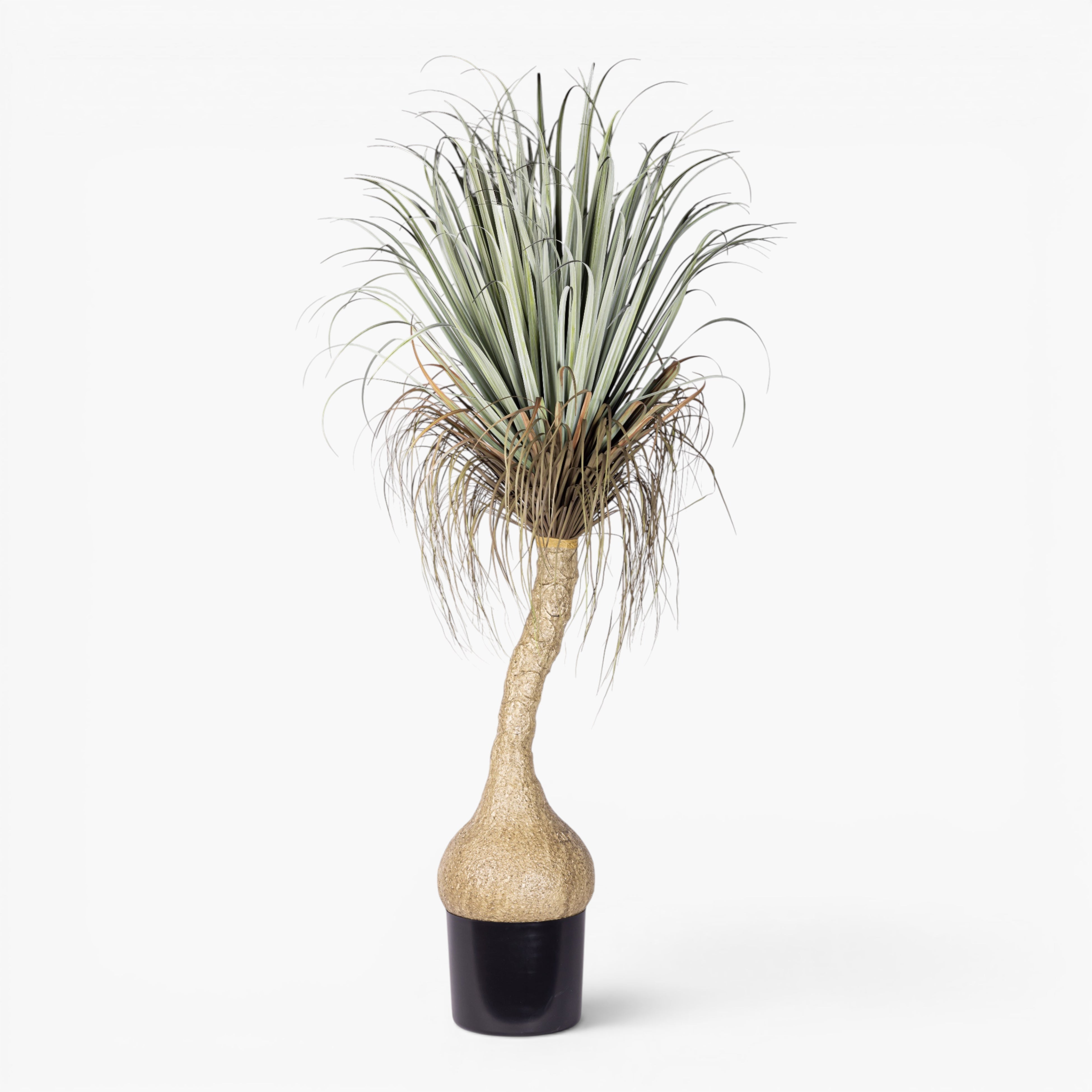 6' Pony Tail Palm Tree - UV Treated FP1520UV