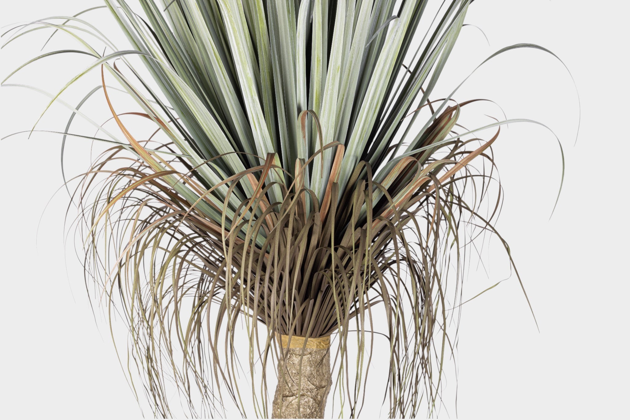 6' Pony Tail Palm Tree - UV Treated FP1520UV
