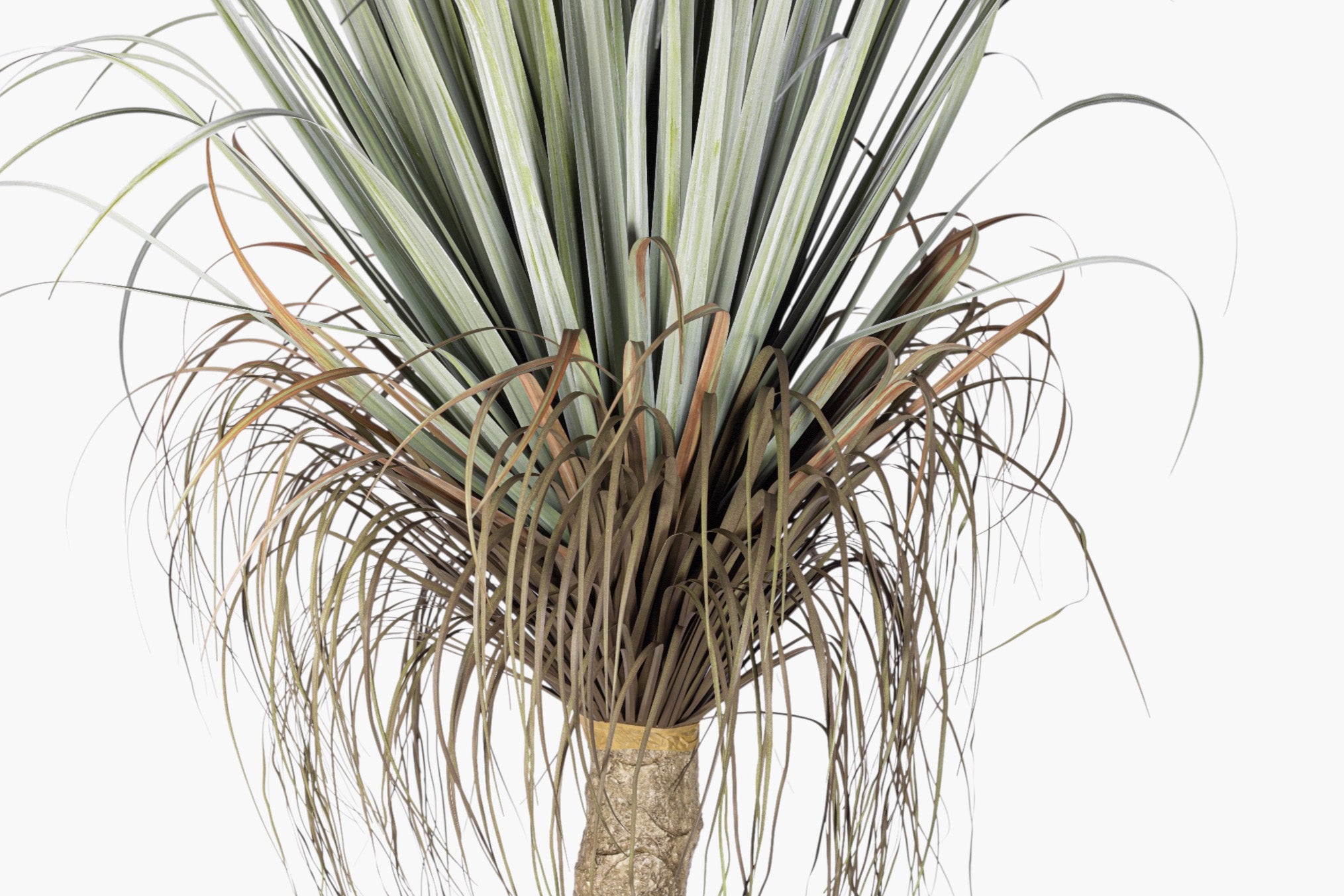 6' Pony Tail Palm Tree - UV Treated FP1520UV