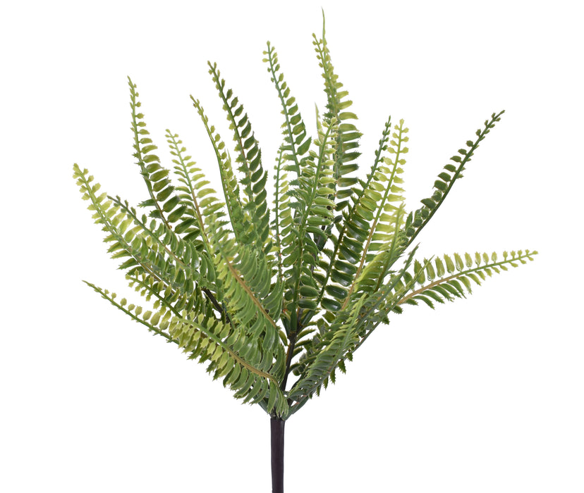 12" Boston Fern- UV Protected   FR1027UV