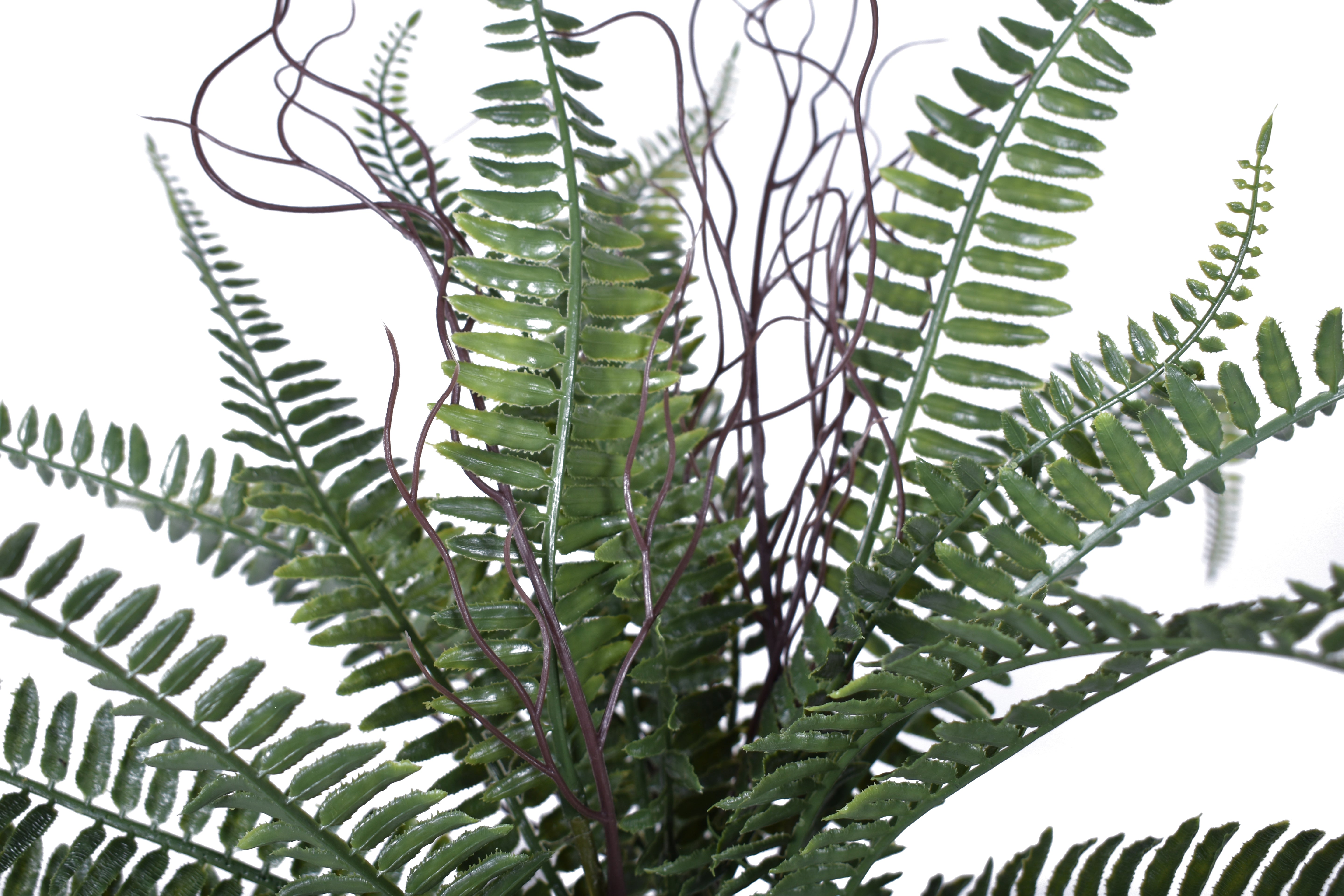 21" Boston Fern- UV Protected    FR1028UV