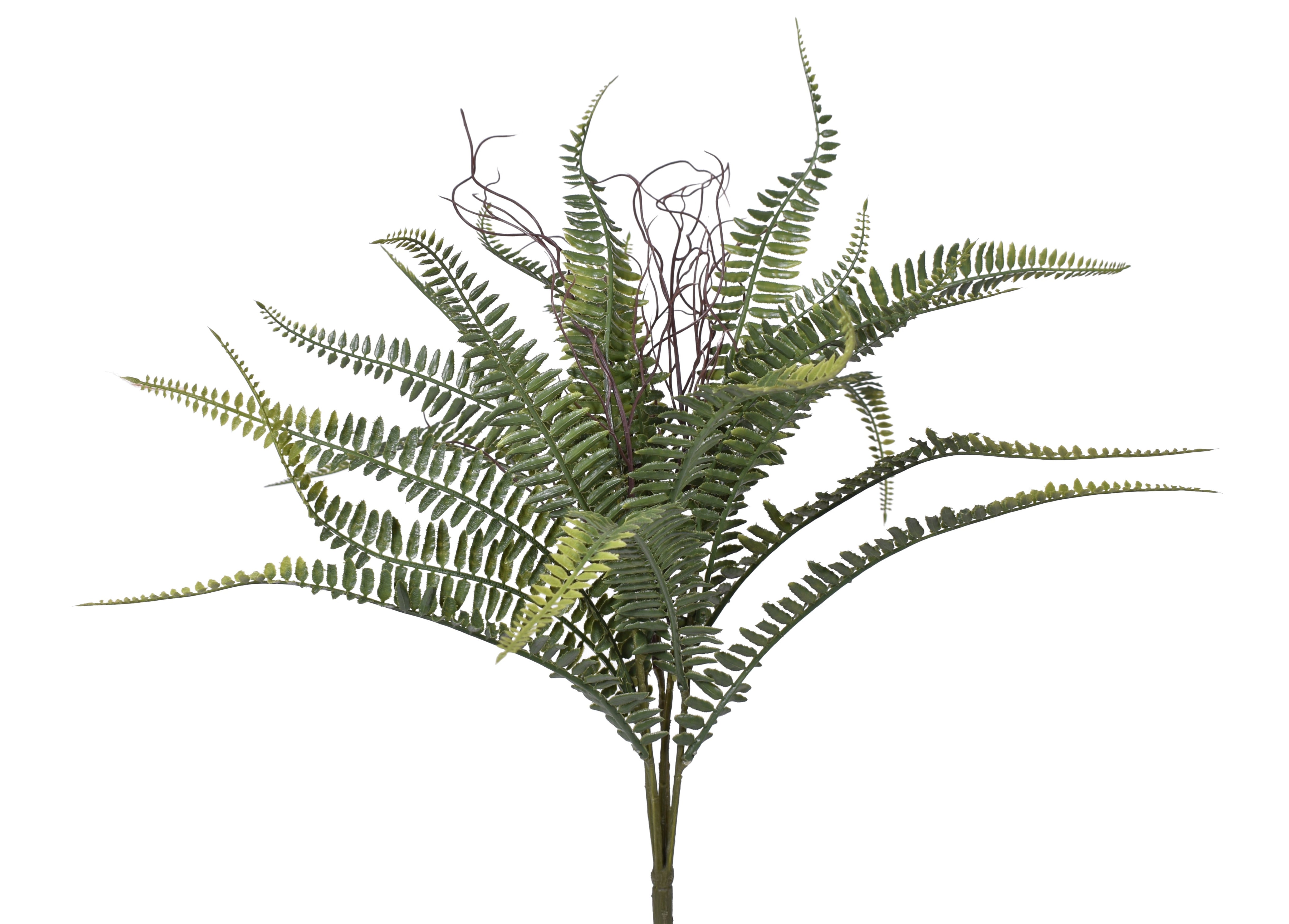 21" Boston Fern- UV Protected    FR1028UV