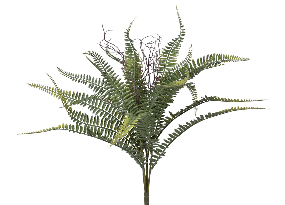 21" Boston Fern- UV Protected    FR1028UV