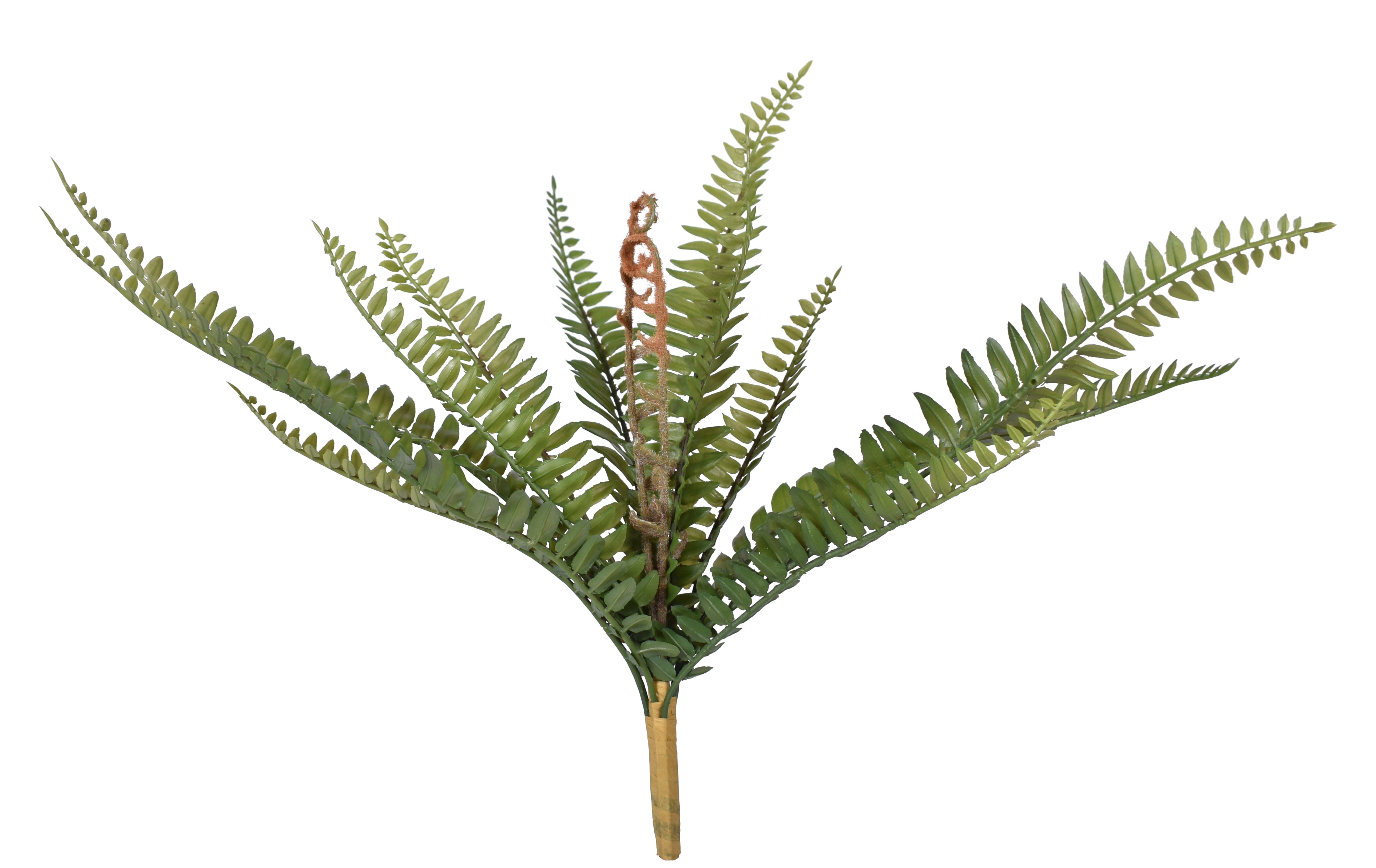 16" Boston Fern Pick-UV Protected    FR1030UV