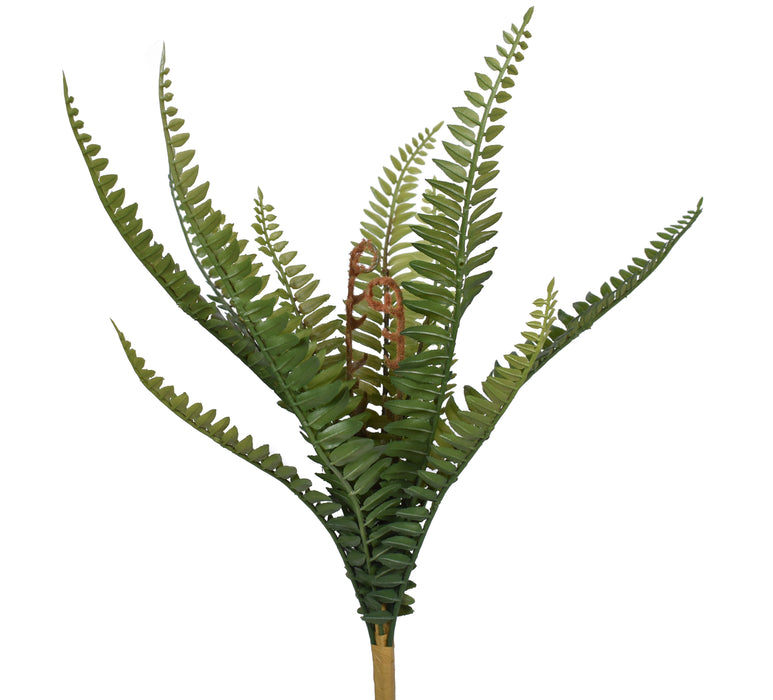 16" Boston Fern Pick-UV Protected    FR1030UV