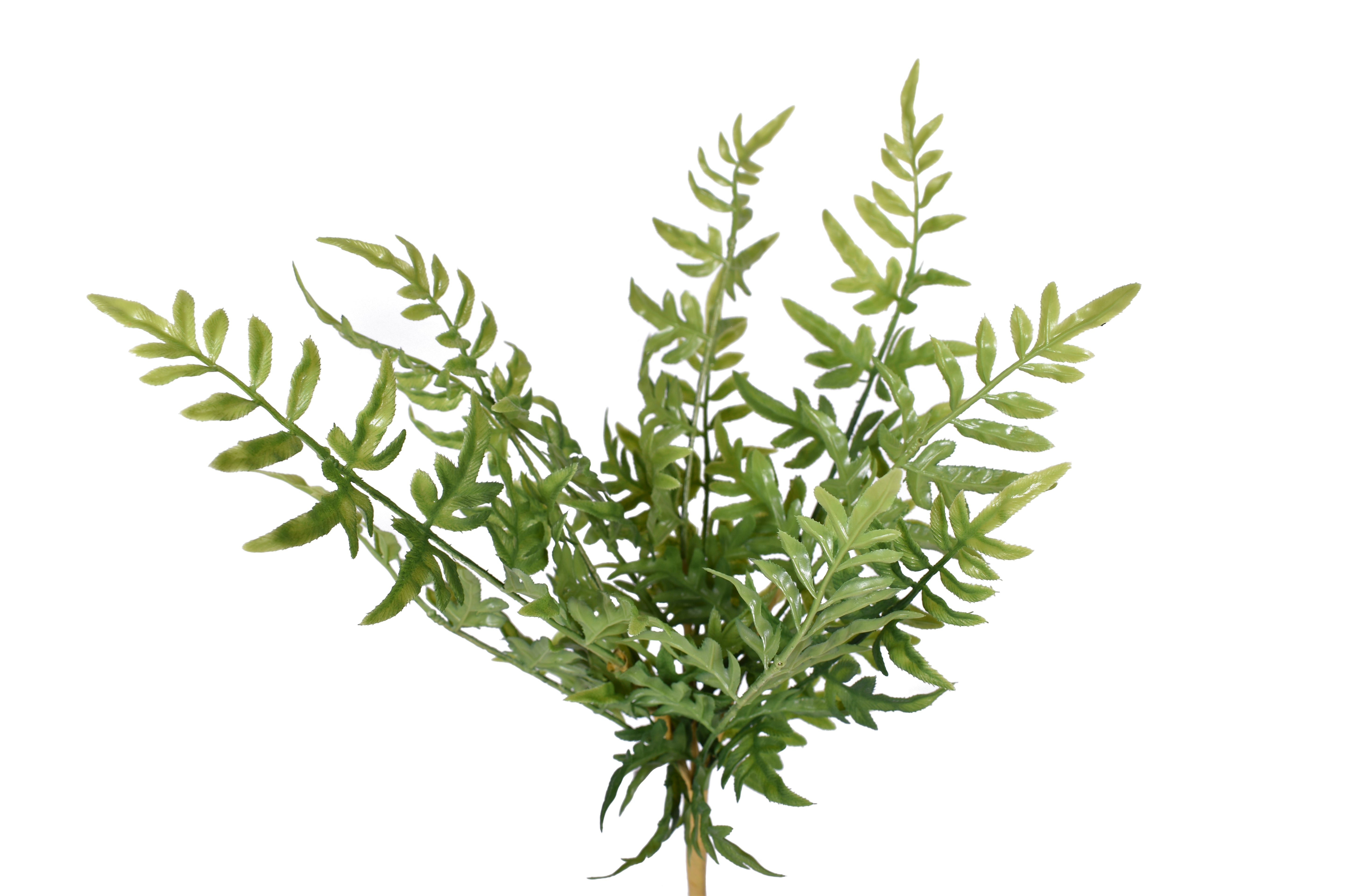 15" Fern Bush- UV Protected    FR1032UV