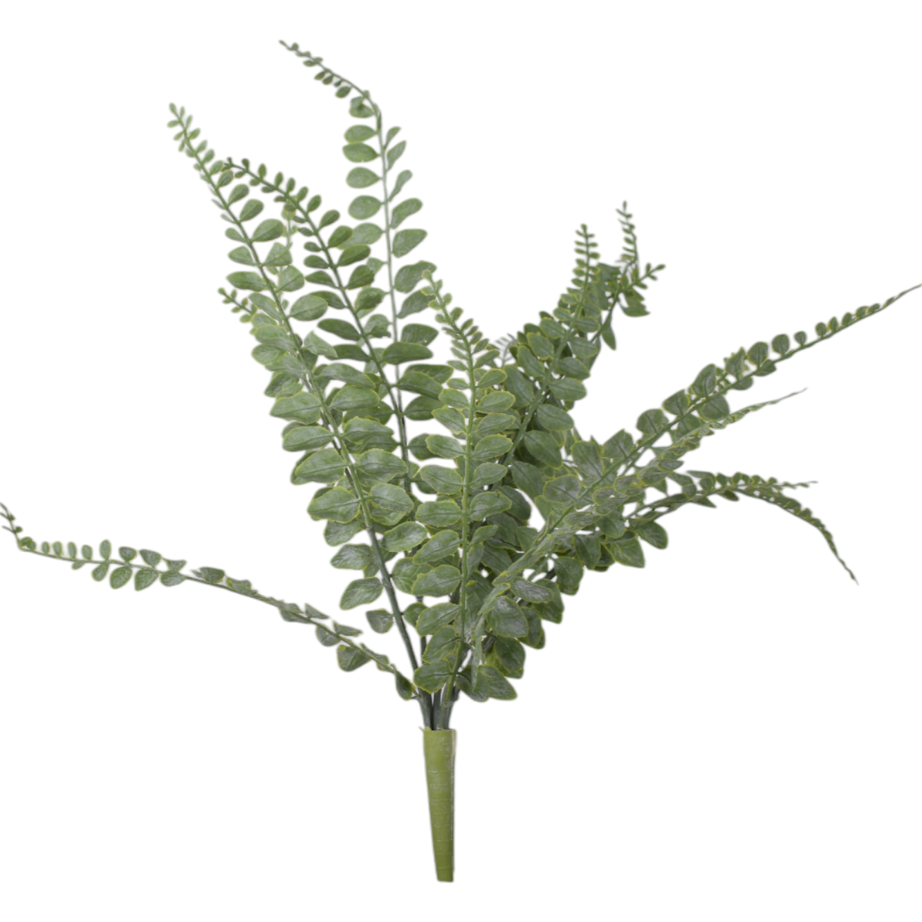 17.5” Water Grass Fern   FR1034