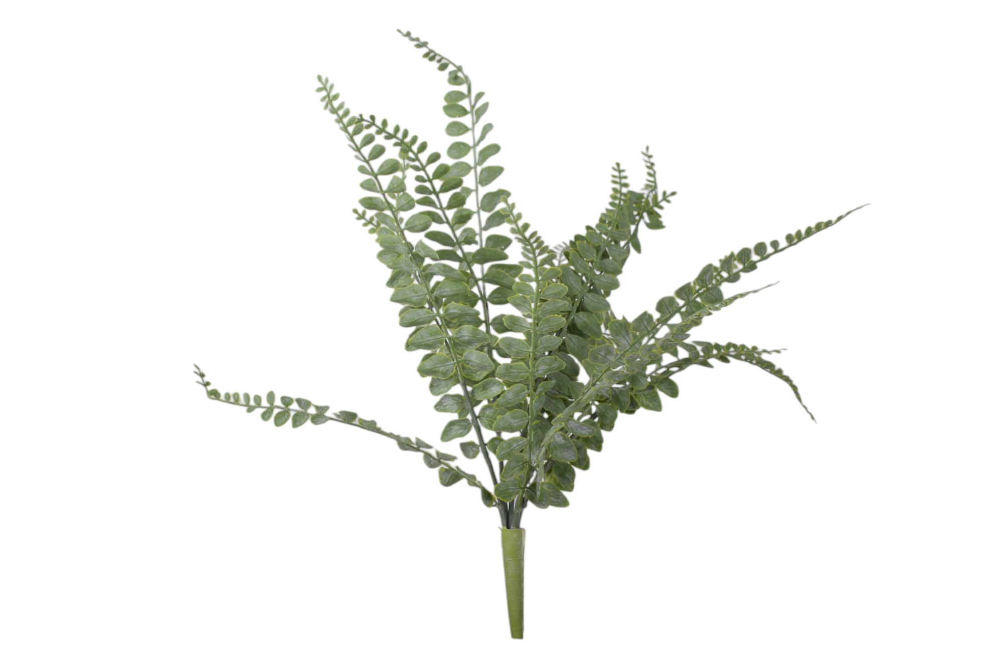 17.5” Water Grass Fern   FR1034