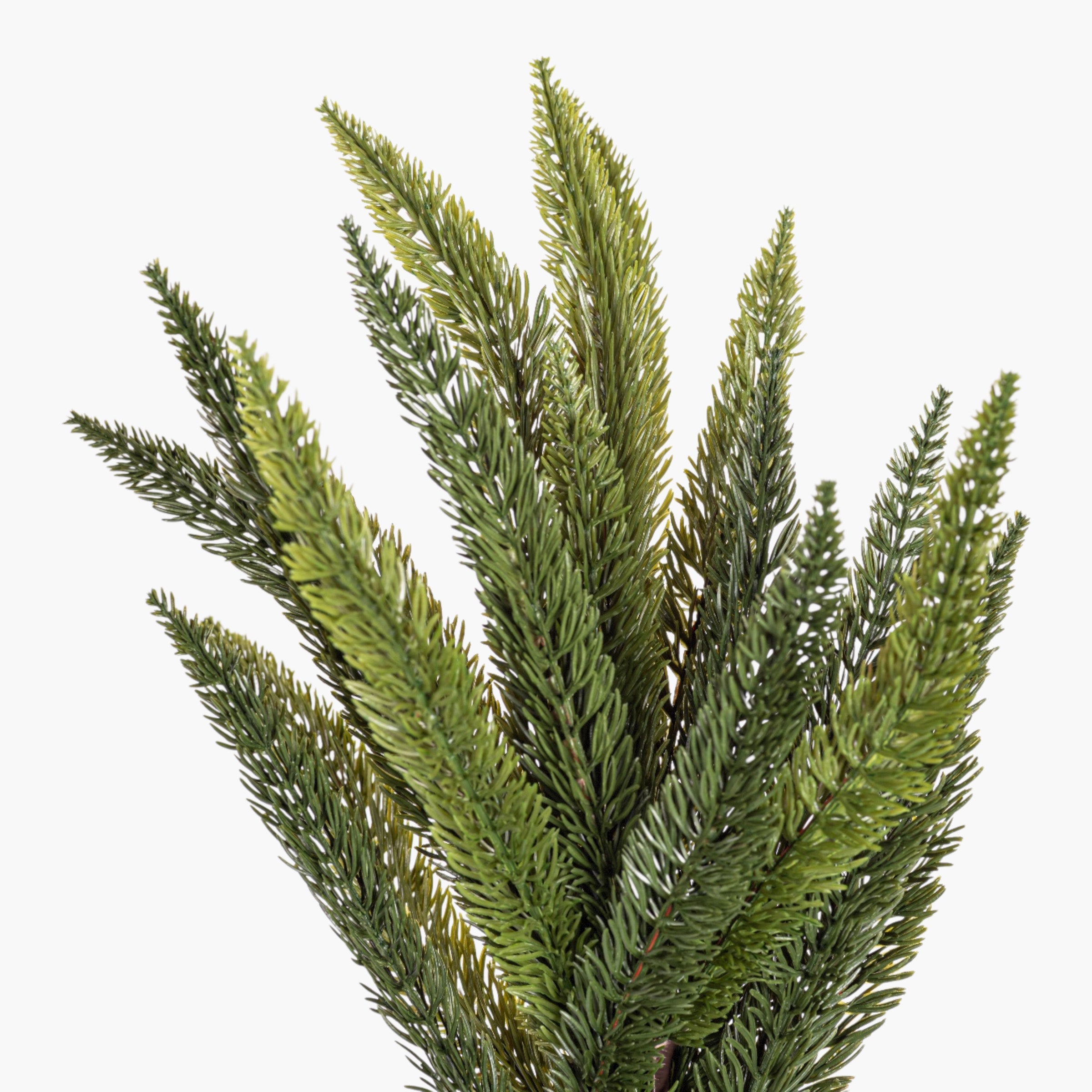 17.5" Aparagus Fern Stem FR1040