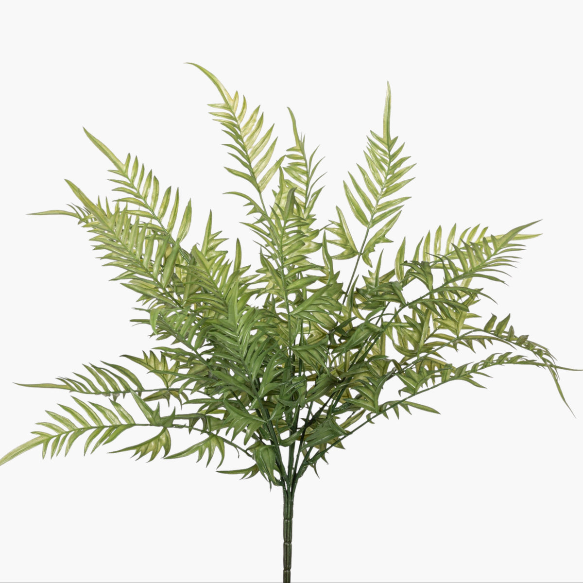 19" Fern Stem FR1044