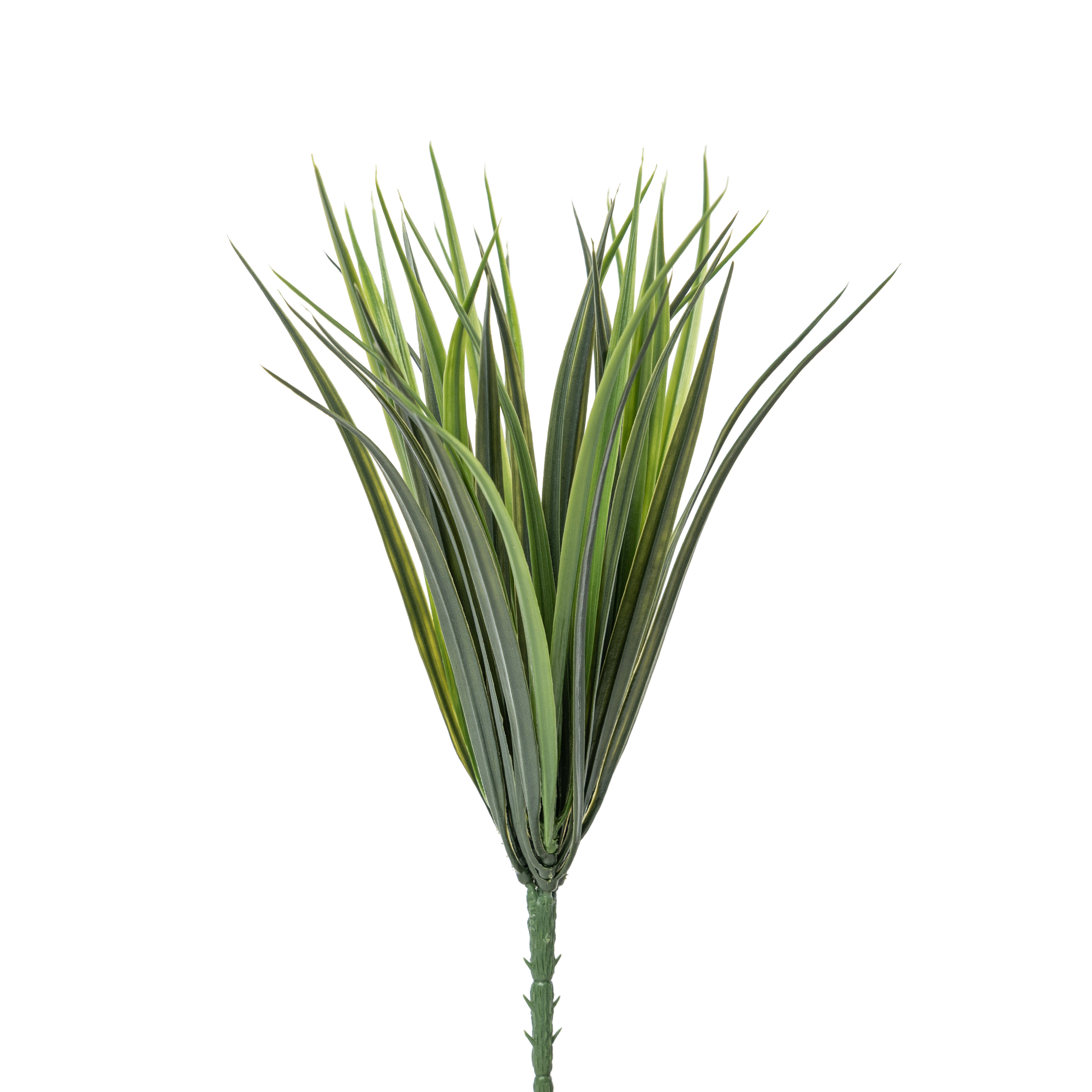 Grass Stem     GS1015