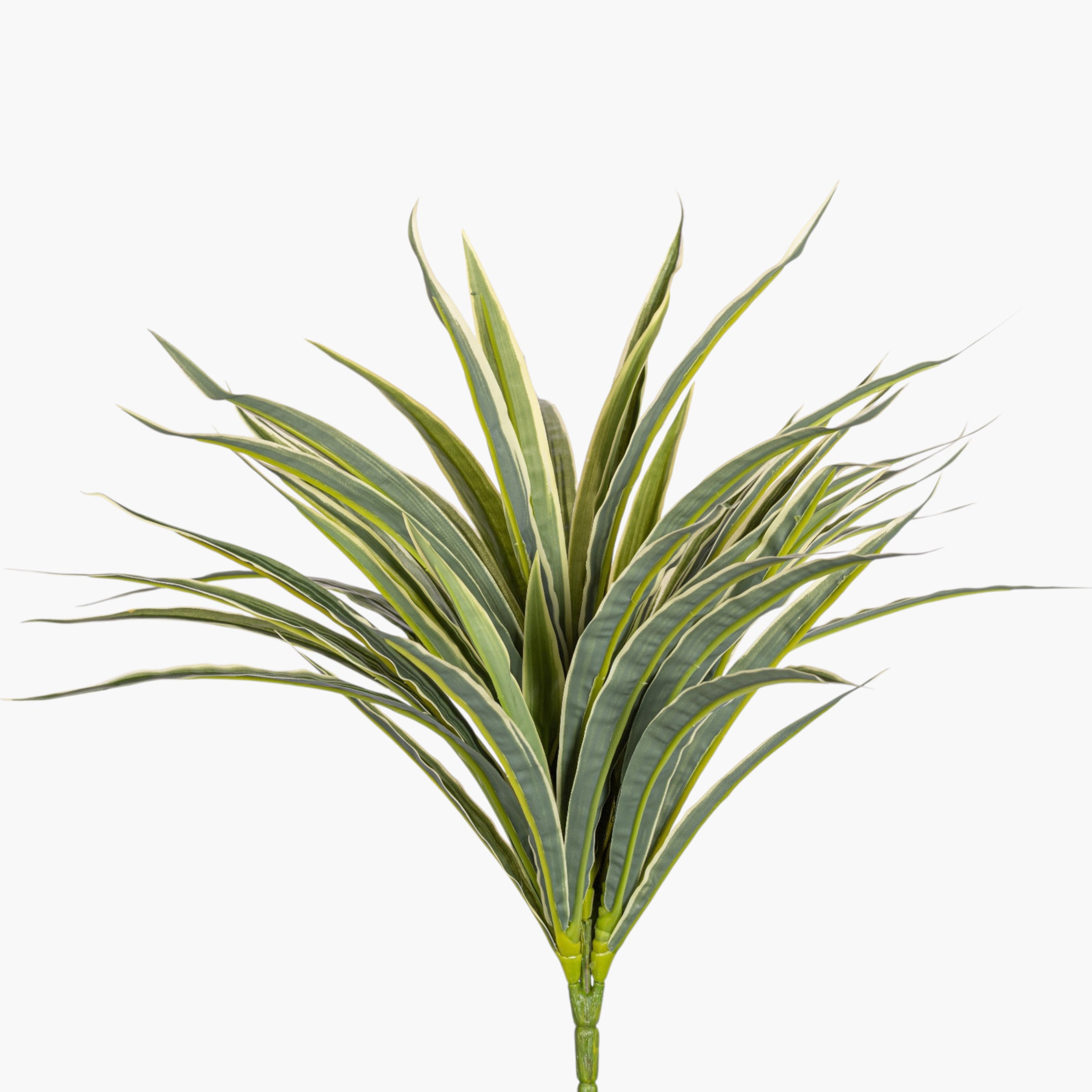 17" Dracaena Bush Stem - UV Treated GS1040