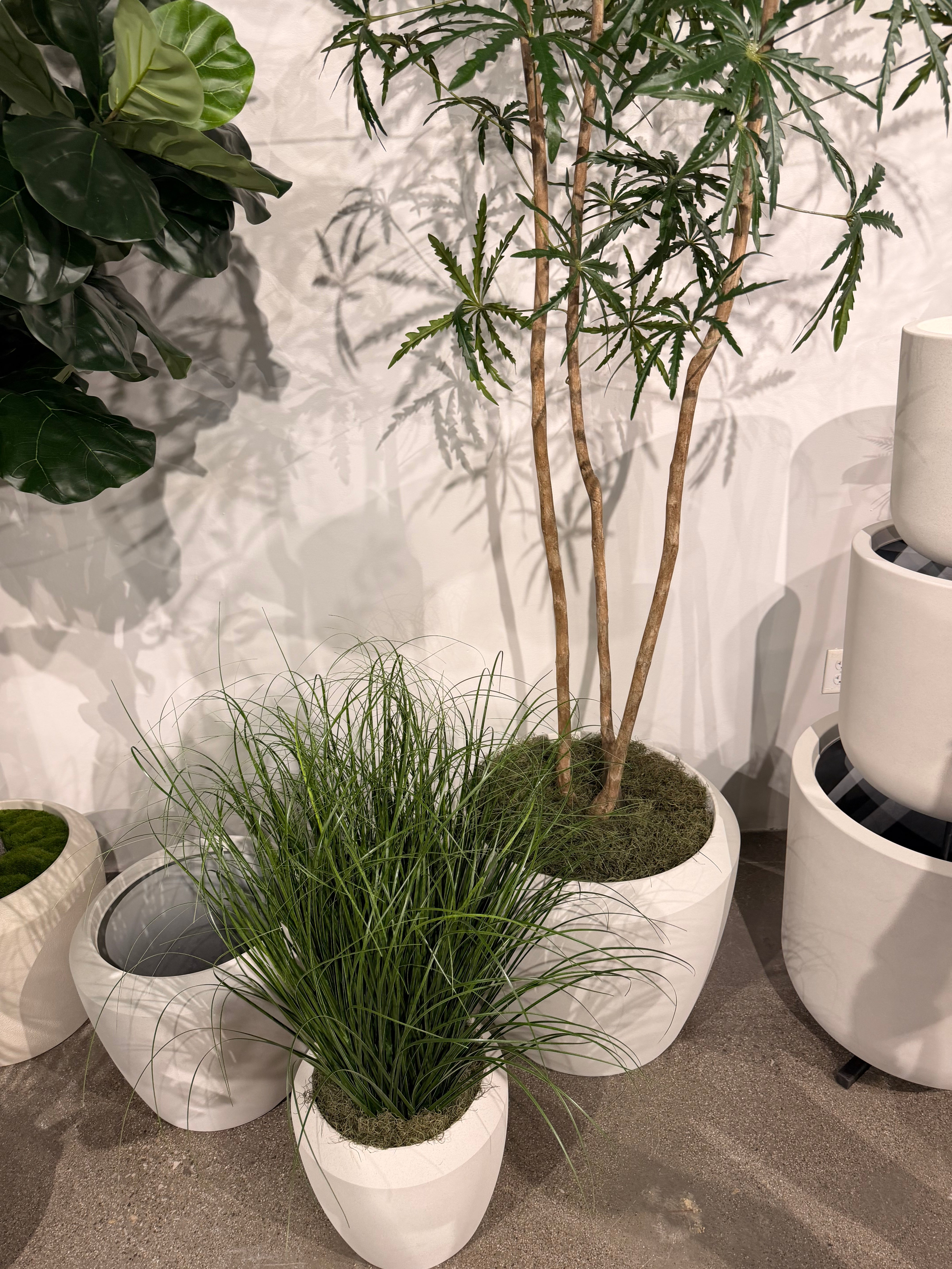 3' Grass in Brynn Planter with Green Spanish Moss PC1516CN1460WHSM