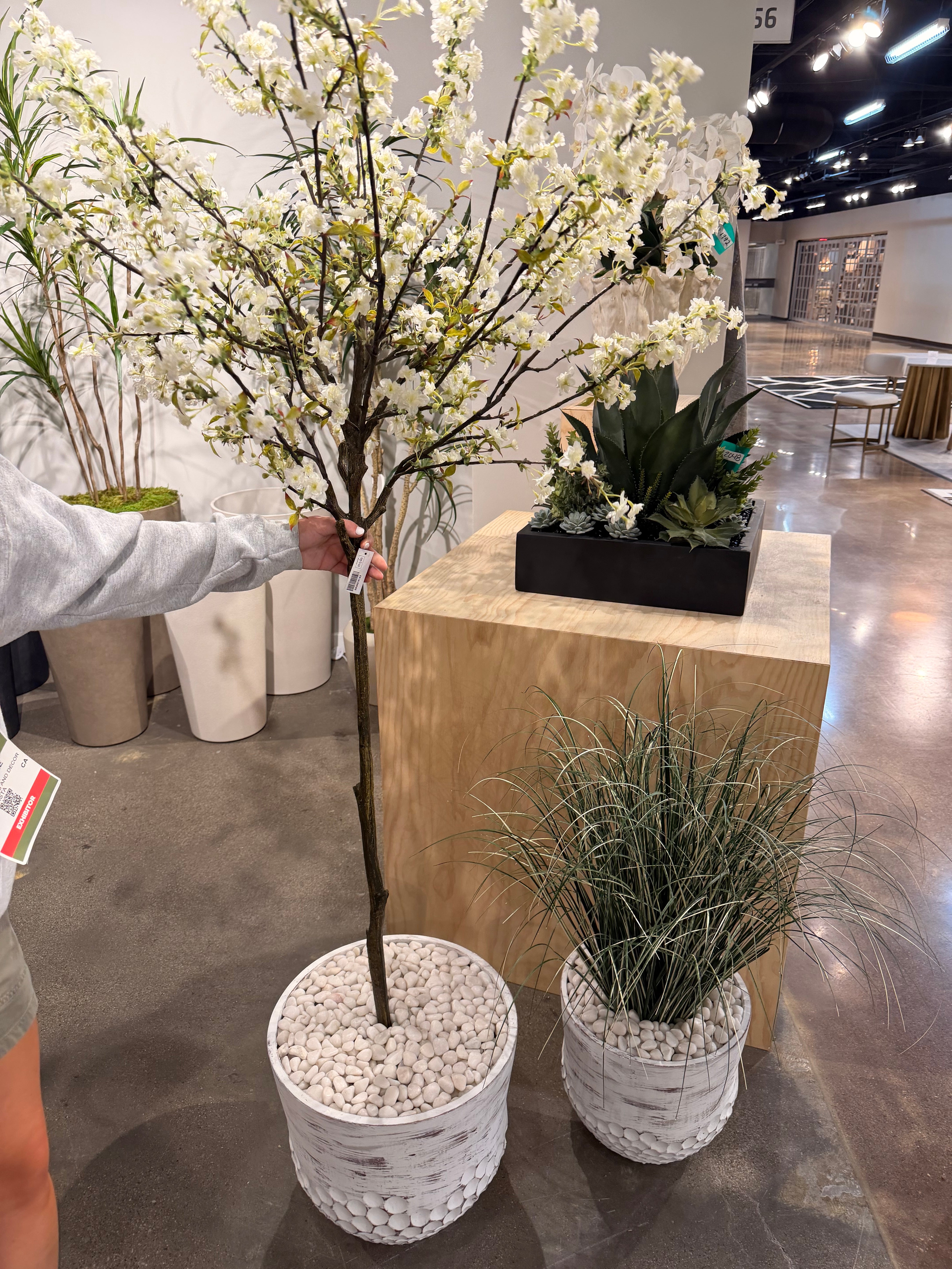 Variegated Grass in Teri Lynn Planter with White Rock PC1517CN1470SM