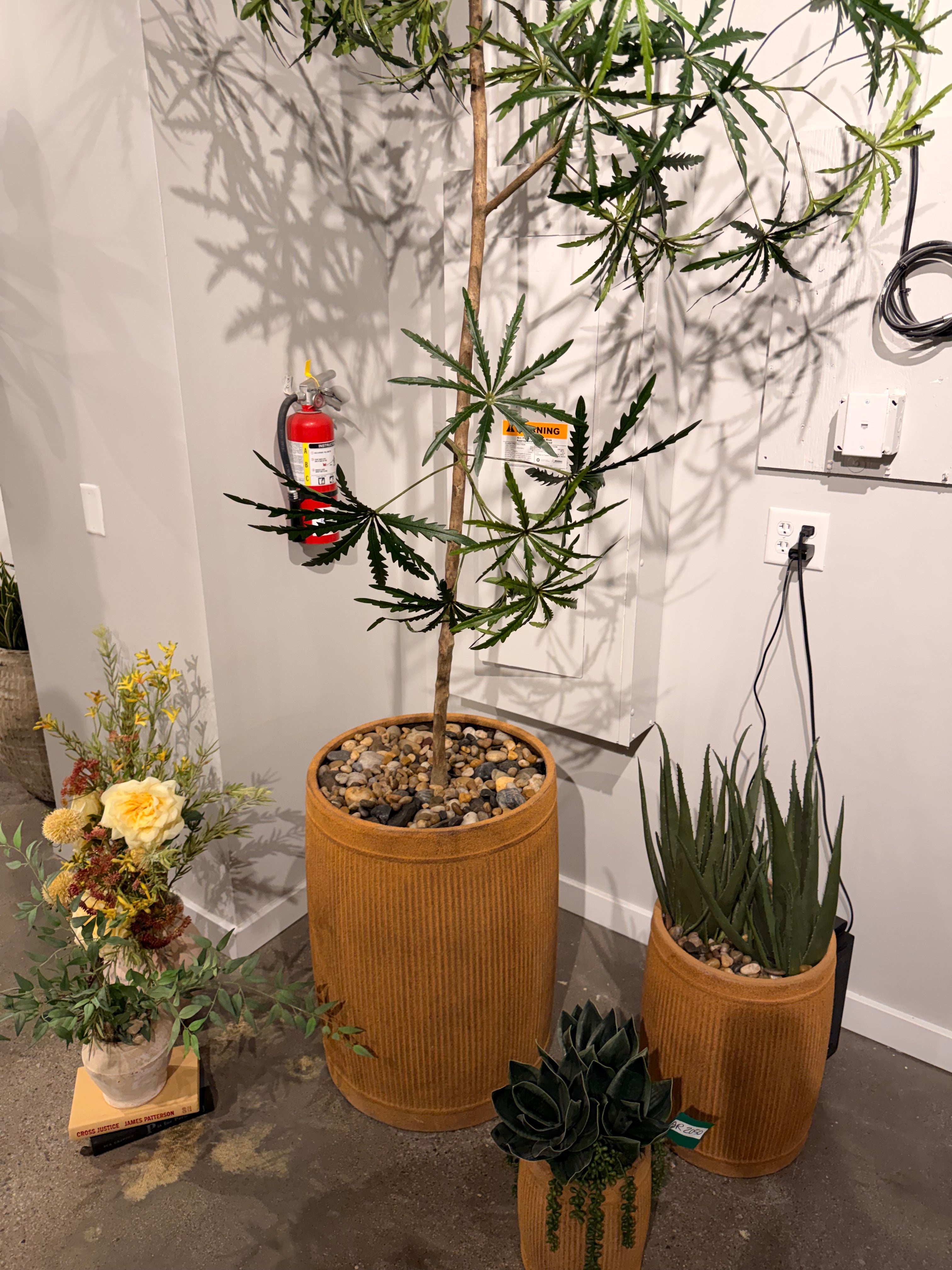 Potted Aloe Plant in Mesa Planter with Mixed Rock PC1047CN1422MD