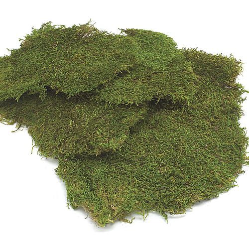 “Basketizing” - Foam with Rock or Moss Covering - 10-14"H