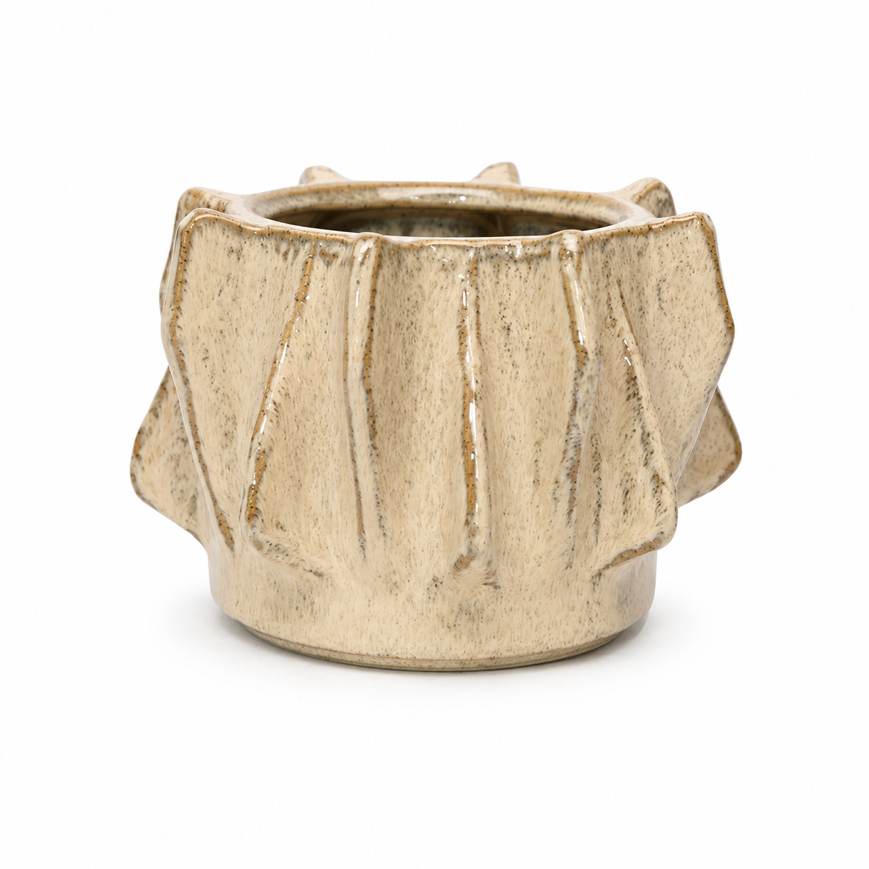 Igor Pot    CN1491