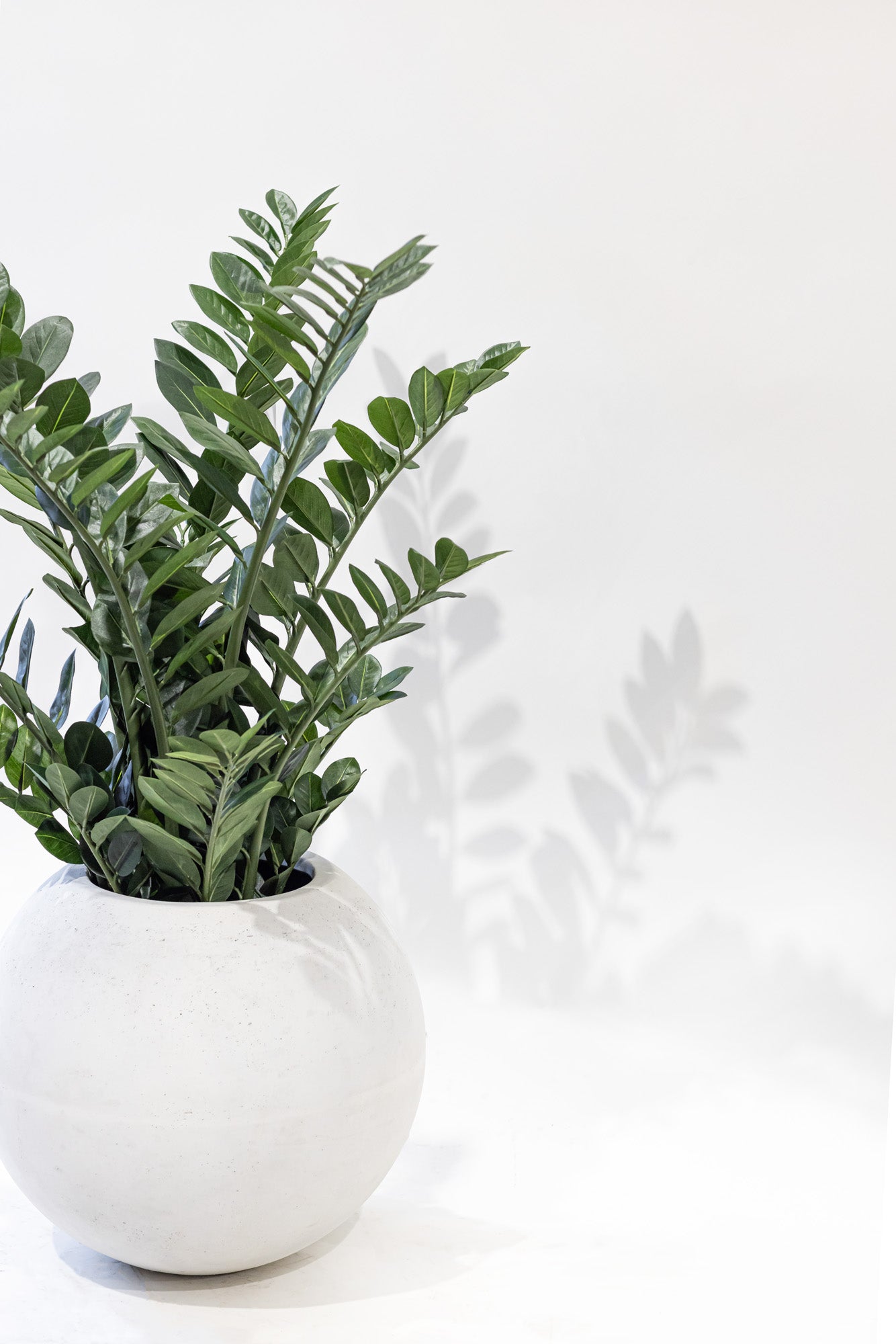 Kona Planter- Moss White   CN1337