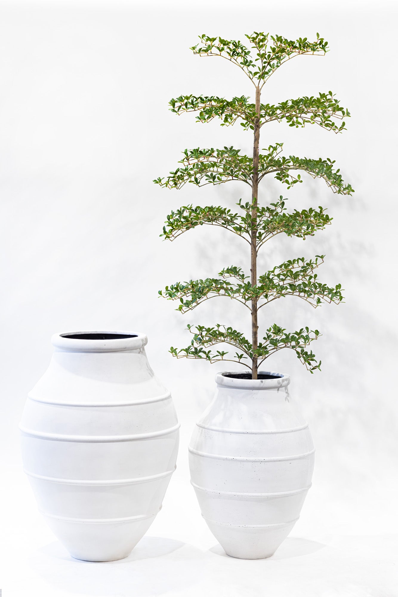Croft Planter Collection - White   CN1313