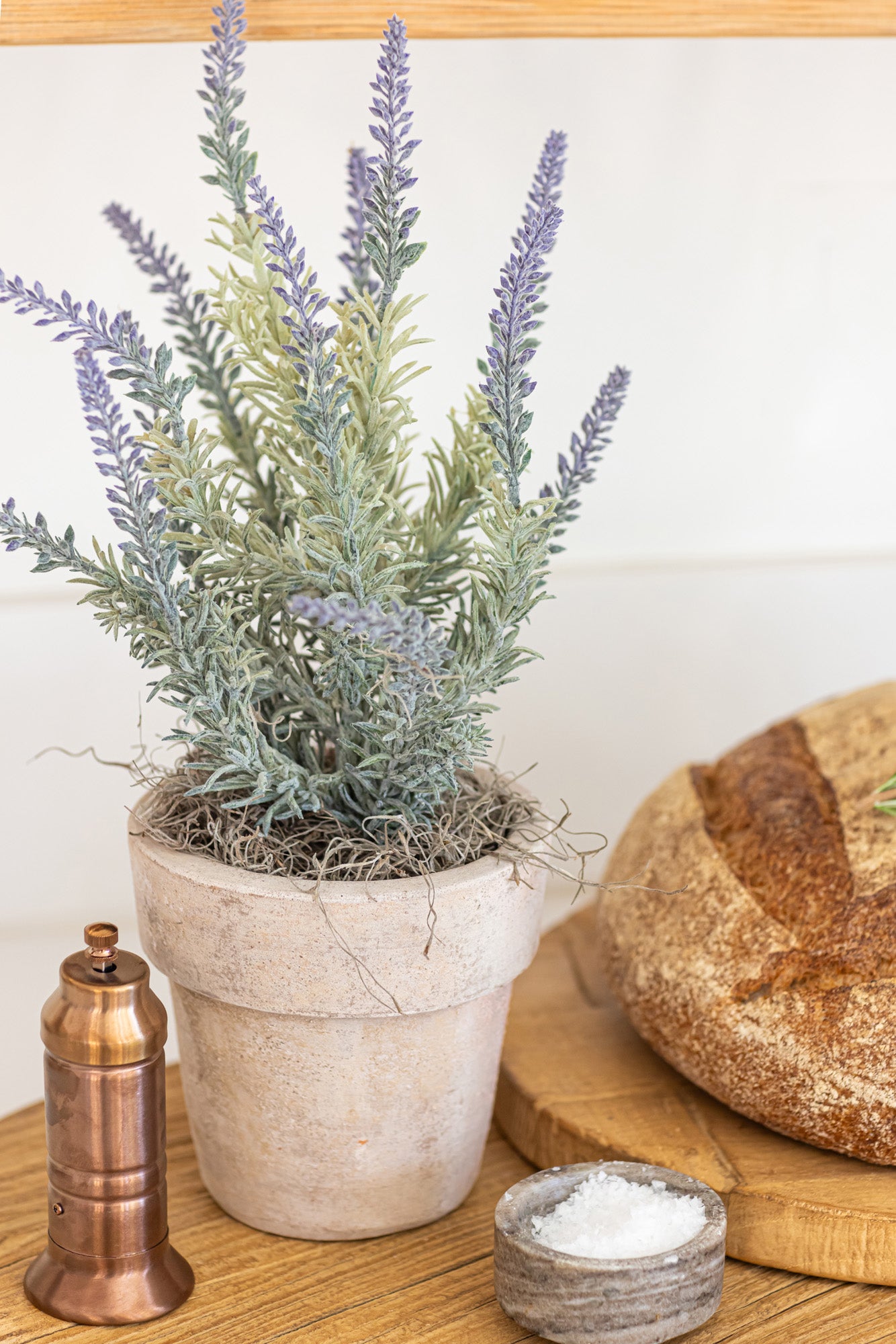 5" Monterey Pot with Lavender AR1180
