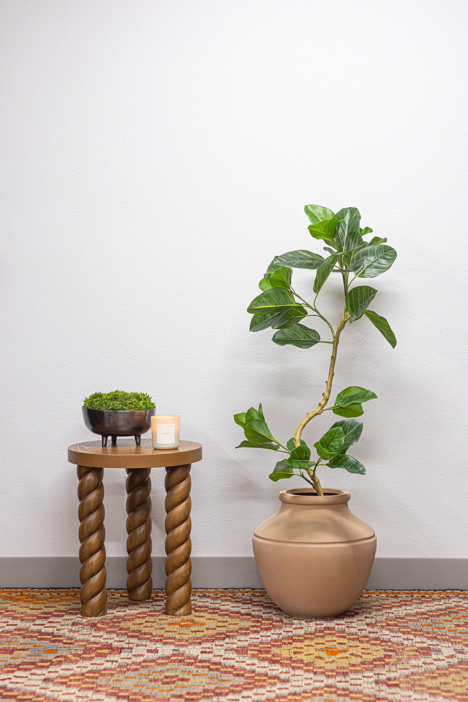 4' Spiral Audrey Ficus     FP1455