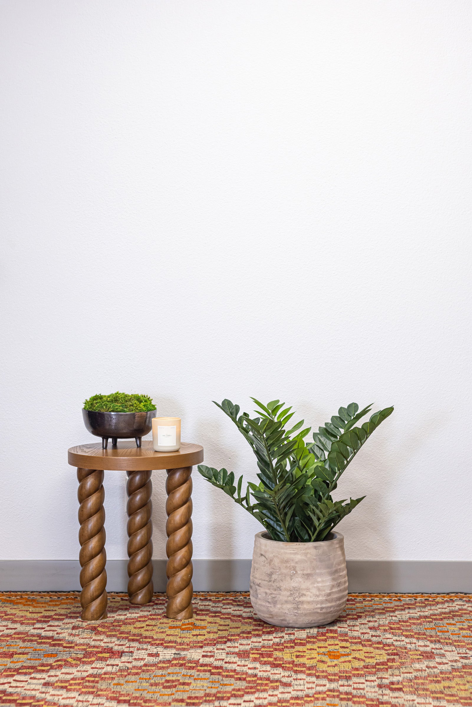 31" ZZ Plant    FP1176