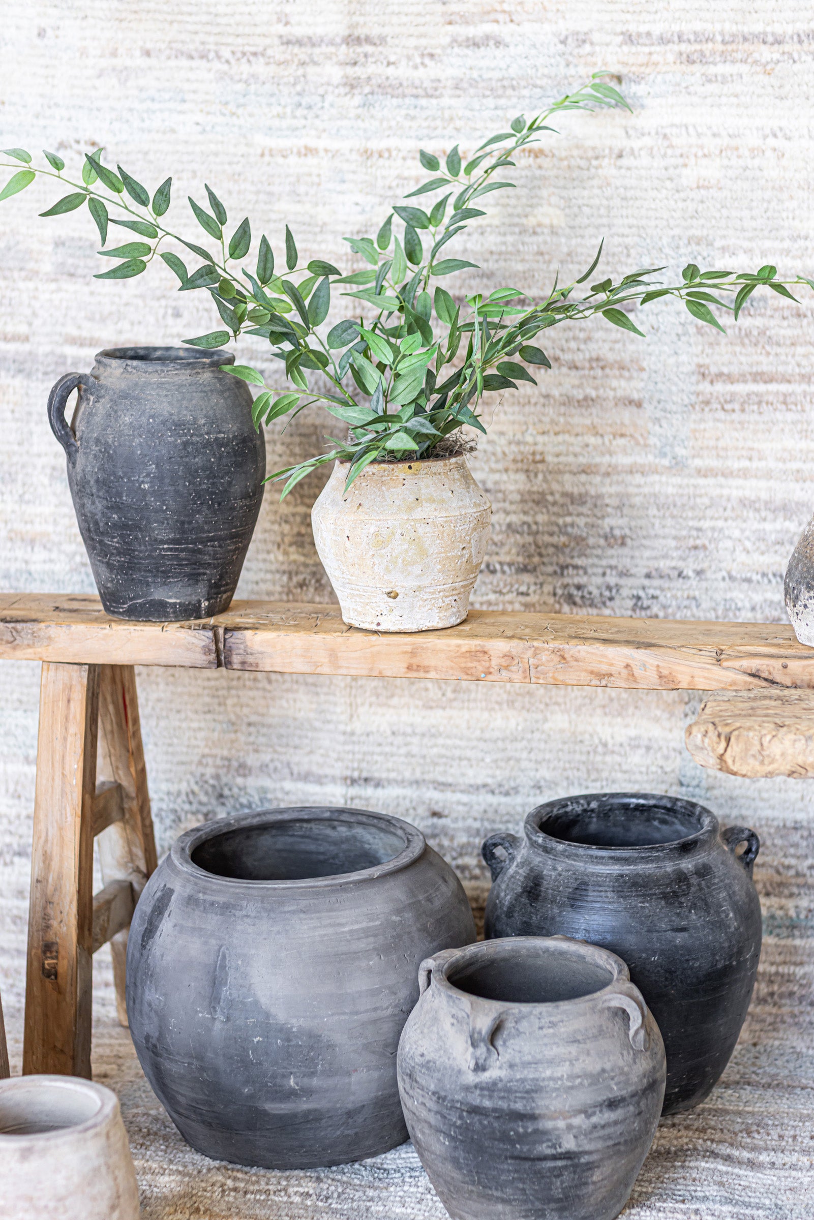 Mila Pot with Ruscus Arrangement AR1471