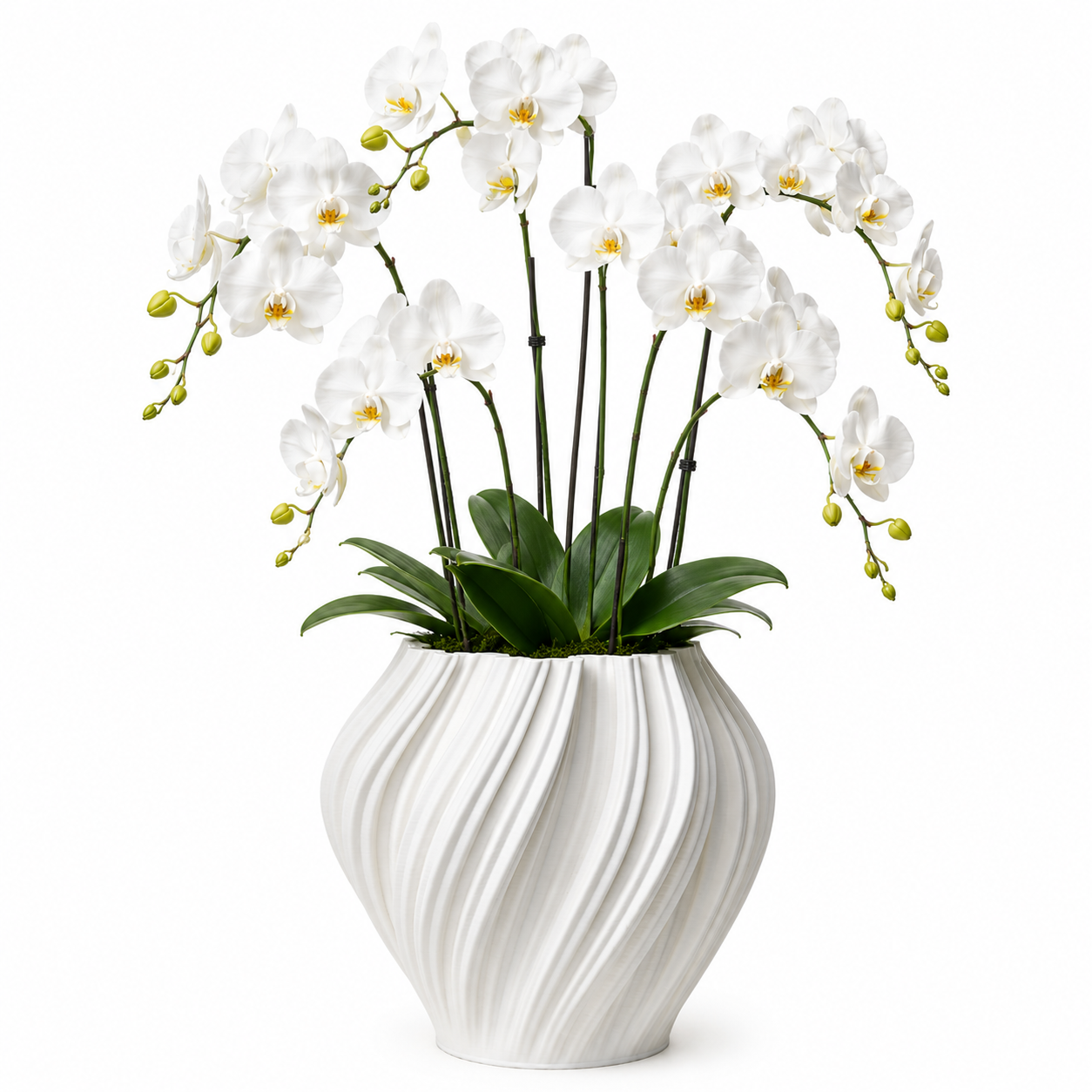 Las Olas Vase CN1495