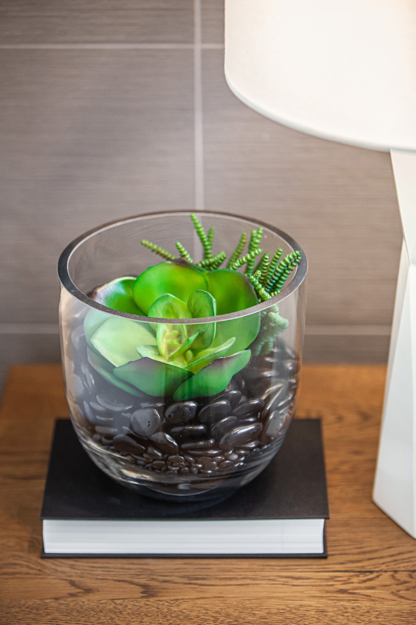 10" Colie Bowl with Succulent Arrangement  AR1172