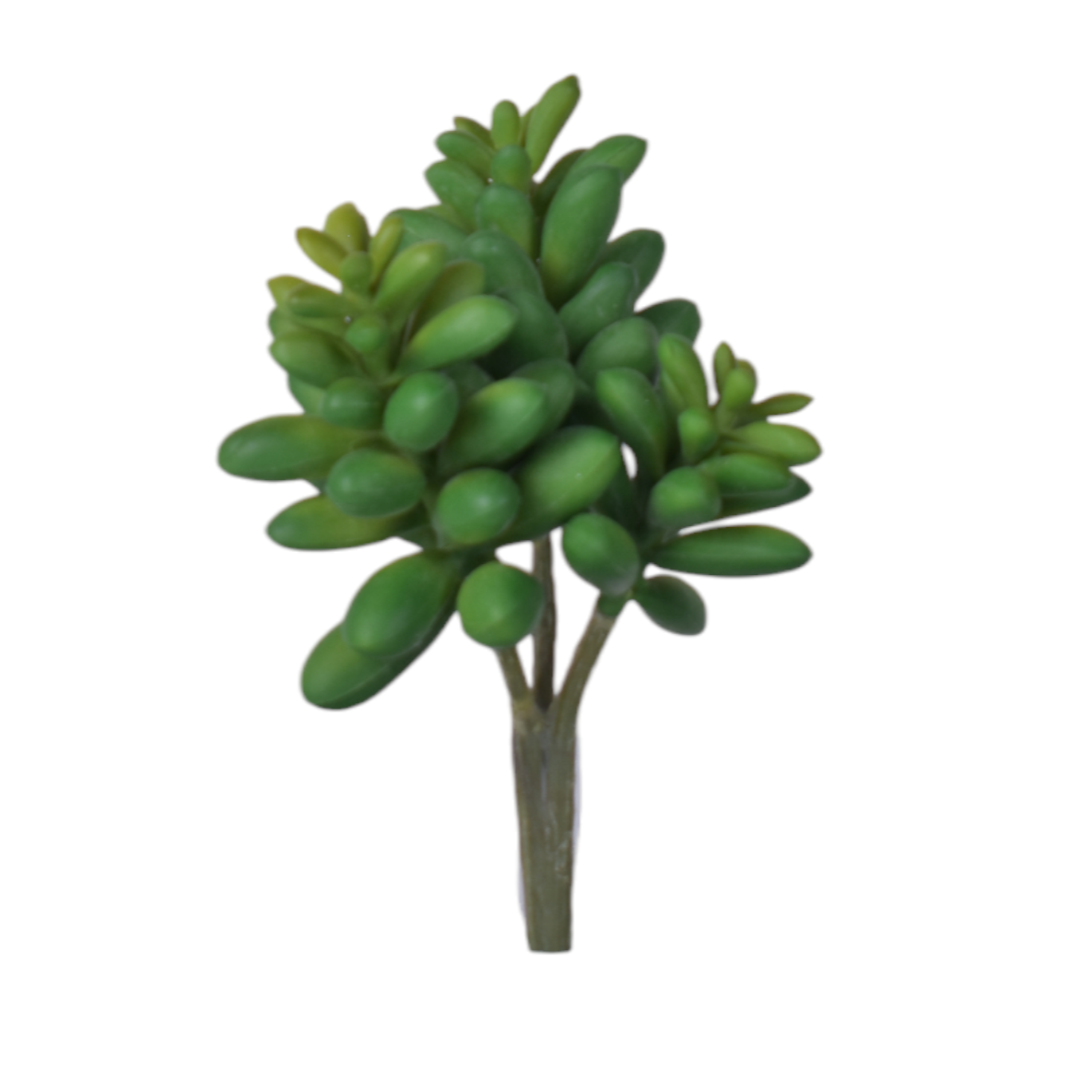 6” Multi Head Succulent-3 Heads   MH1030
