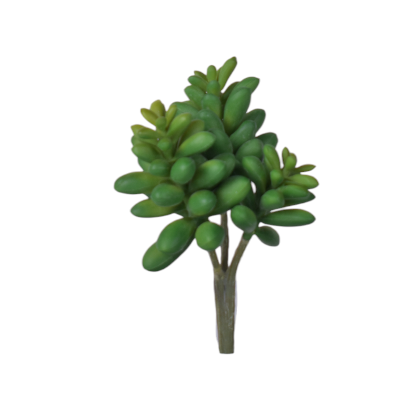 6” Multi Head Succulent-3 Heads   MH1030