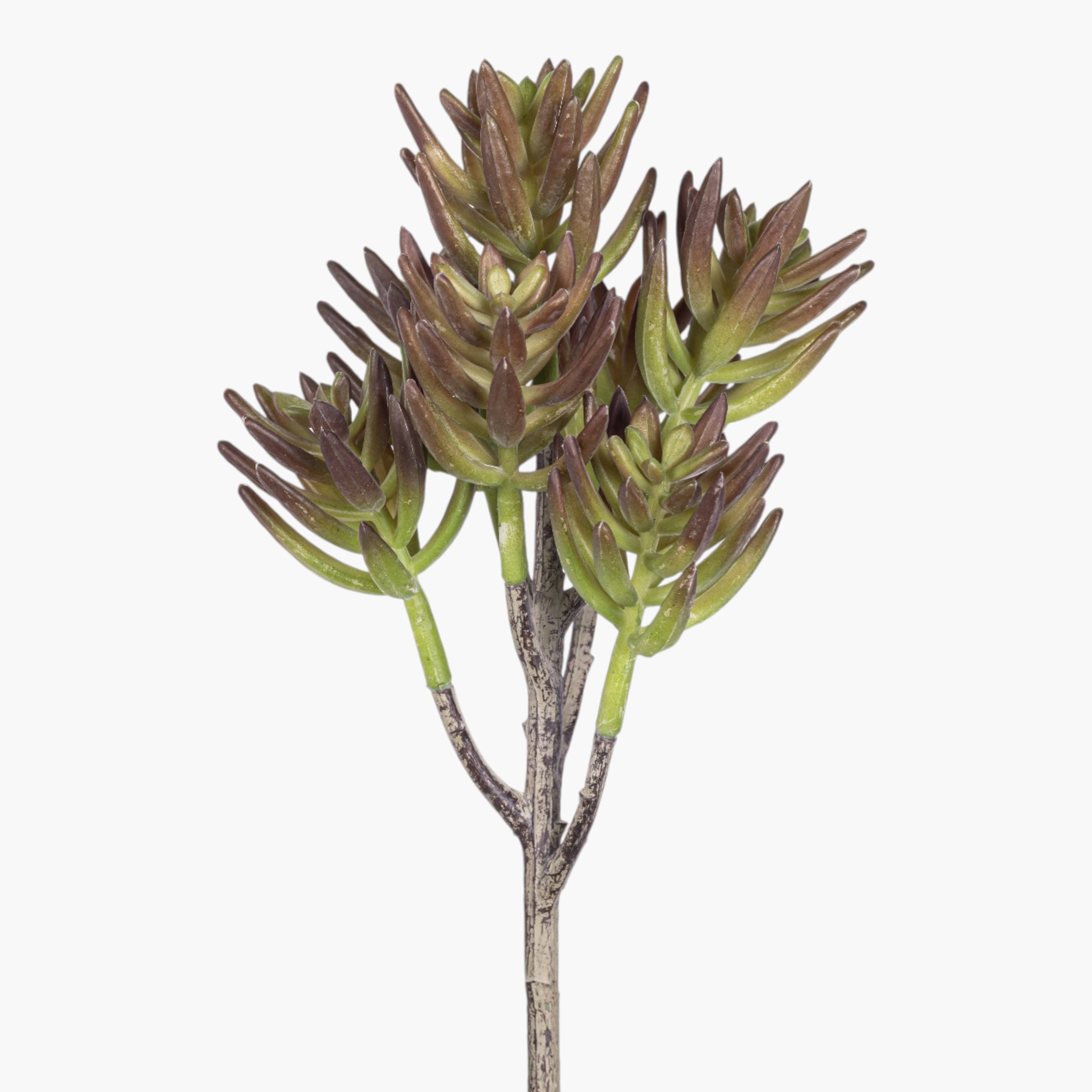 9" Multi-Head Succulent Stem MH1037