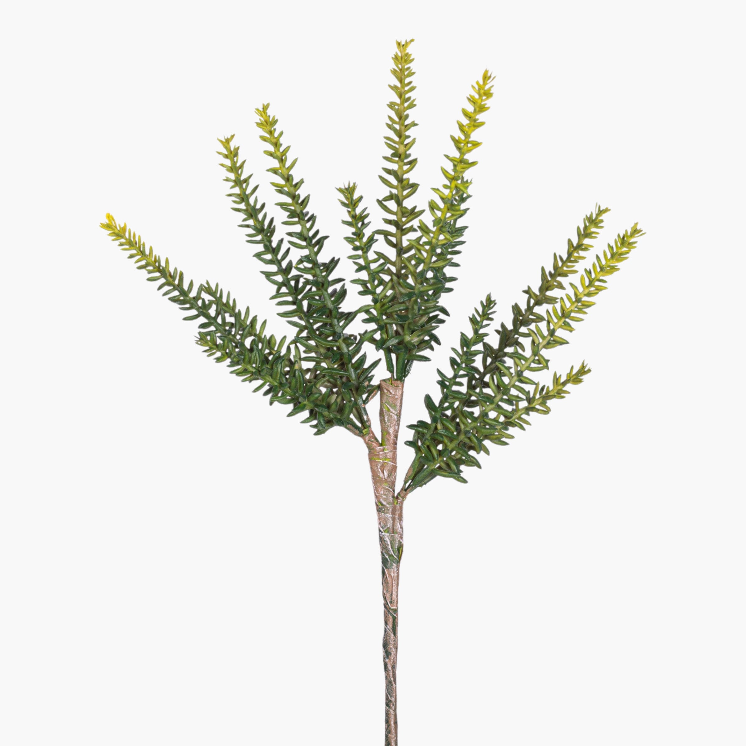 11.5” Multi-Head Succulent Stem MH1039