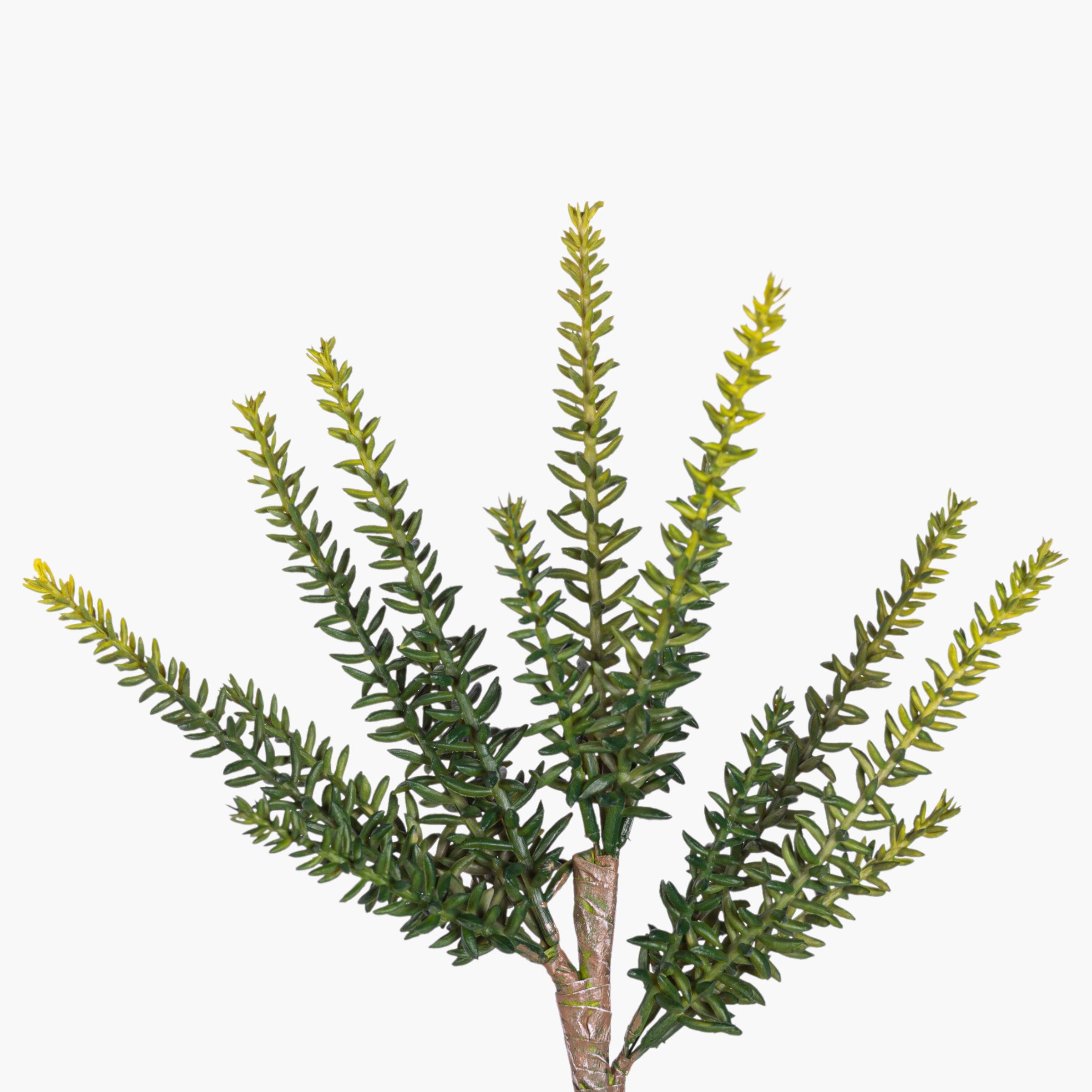 11.5” Multi-Head Succulent Stem MH1039