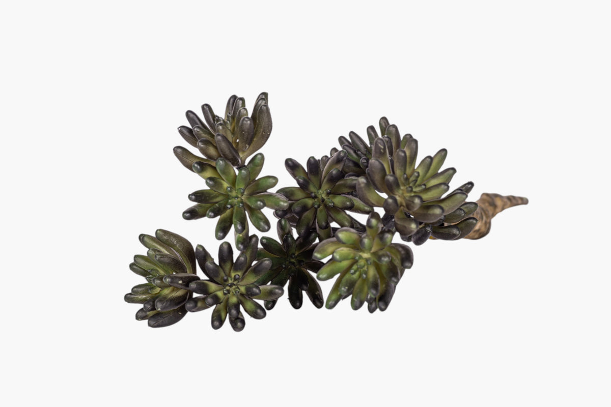 11" Multi-Head Succulent Stem MH1041
