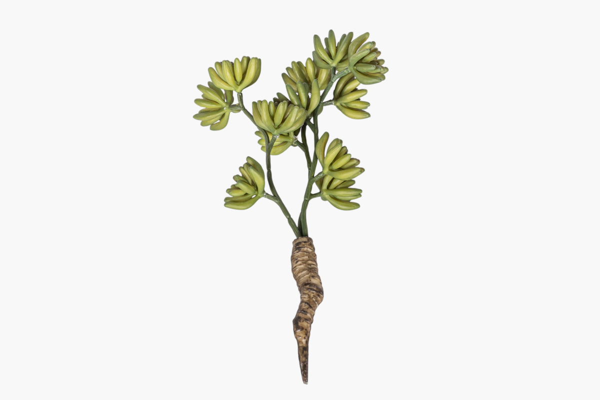11" Multi-Head Succulent Stem MH1042