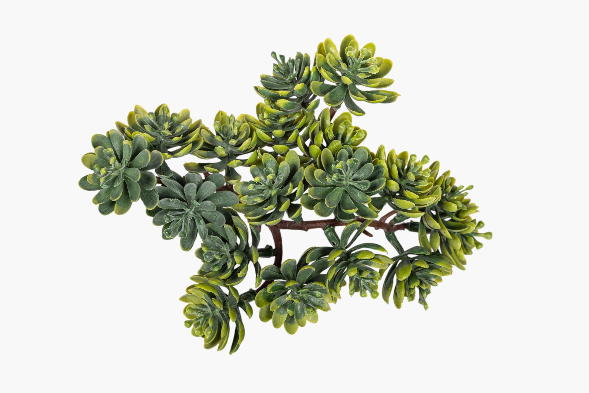 5" Multi-Head Succulent Stem MH1044